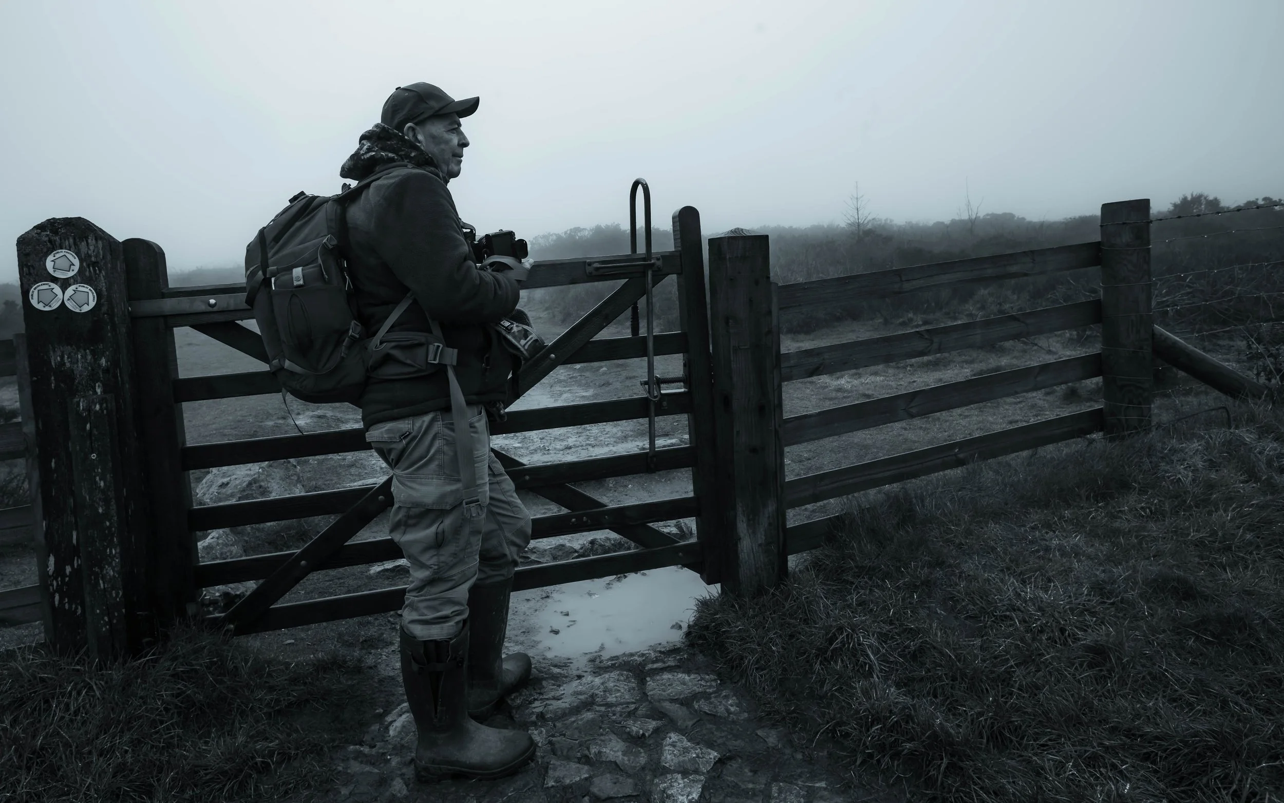 A Landscape Reborn