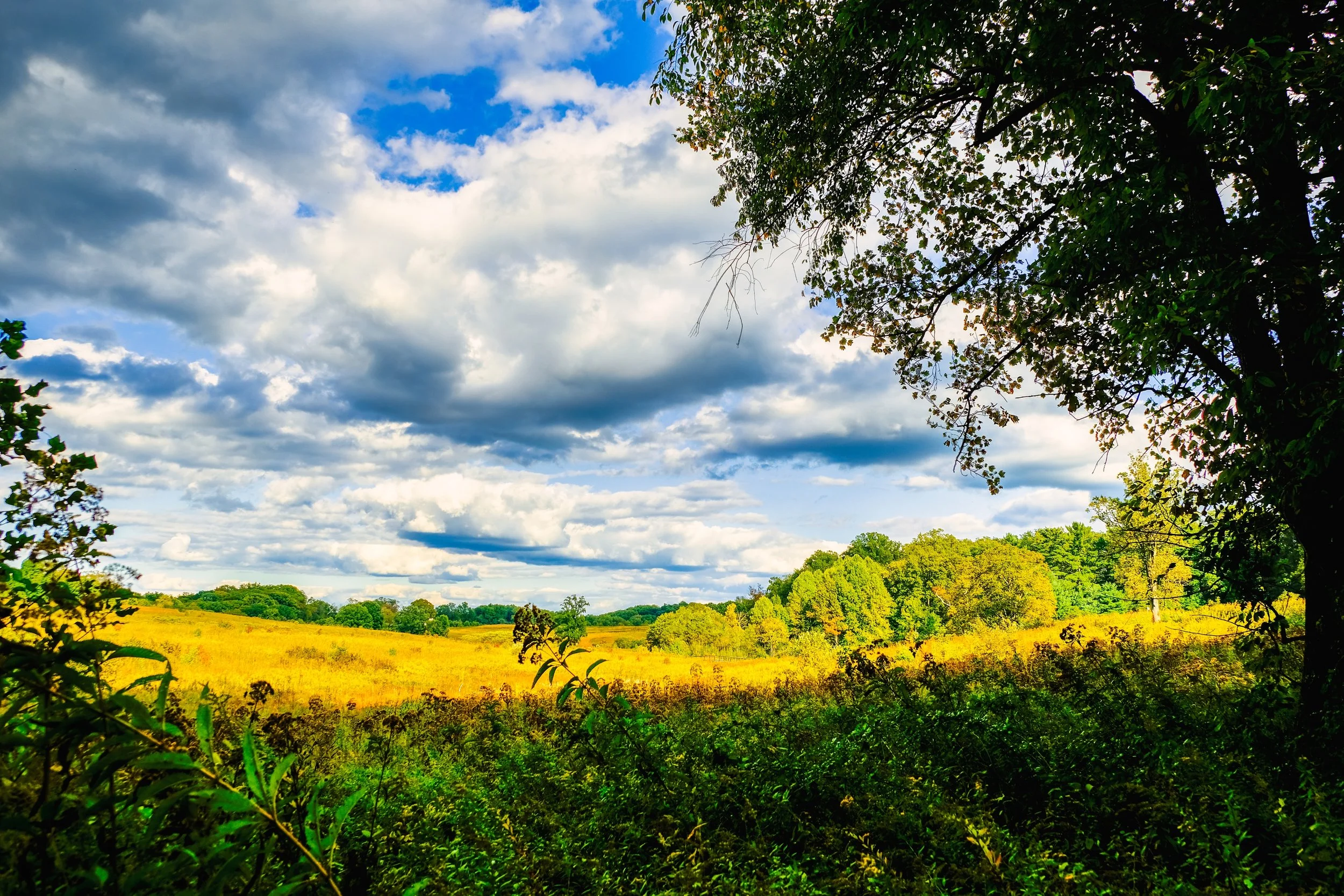 Longwood Gardens, Autumn 2021