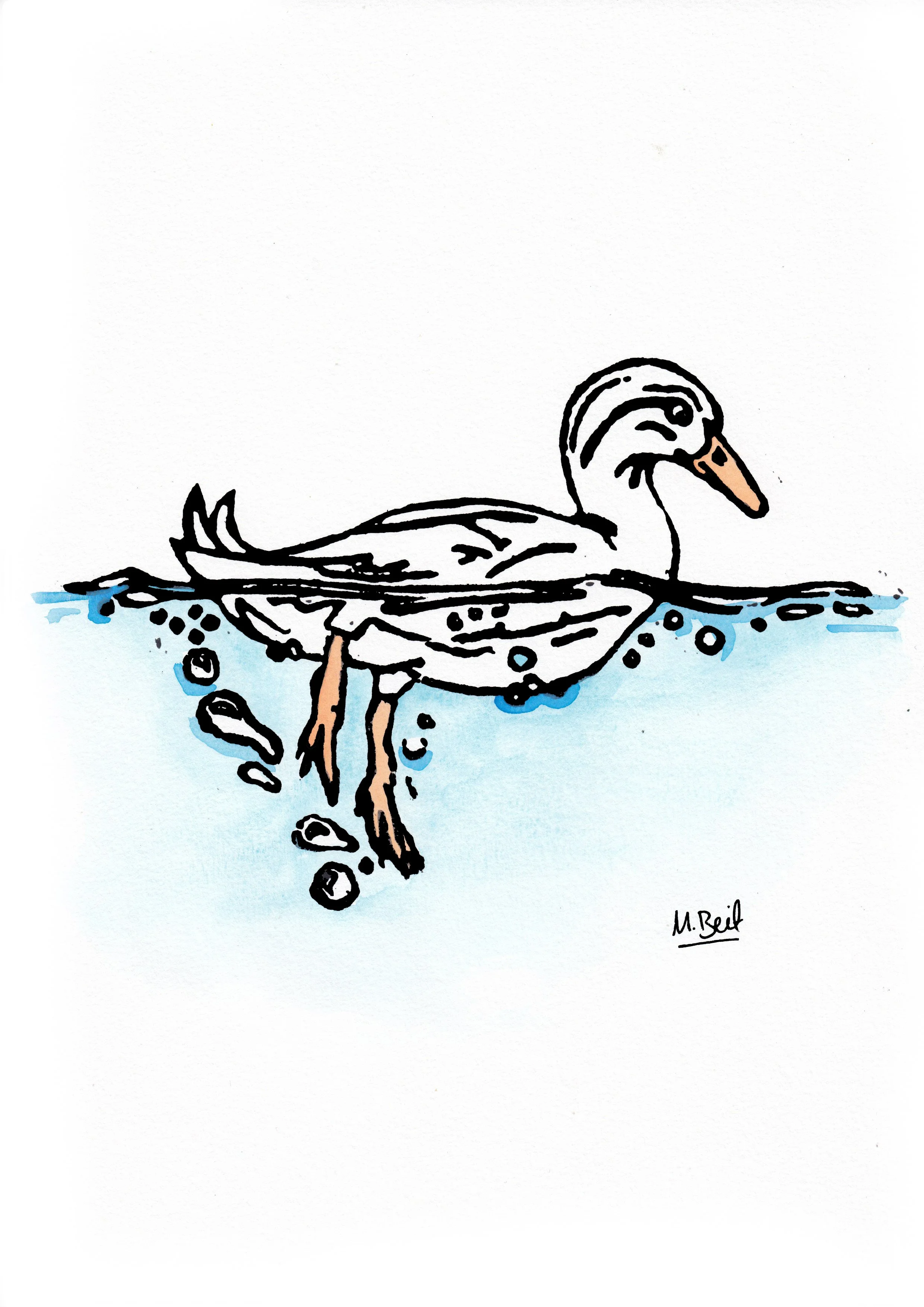 Duck print.jpeg