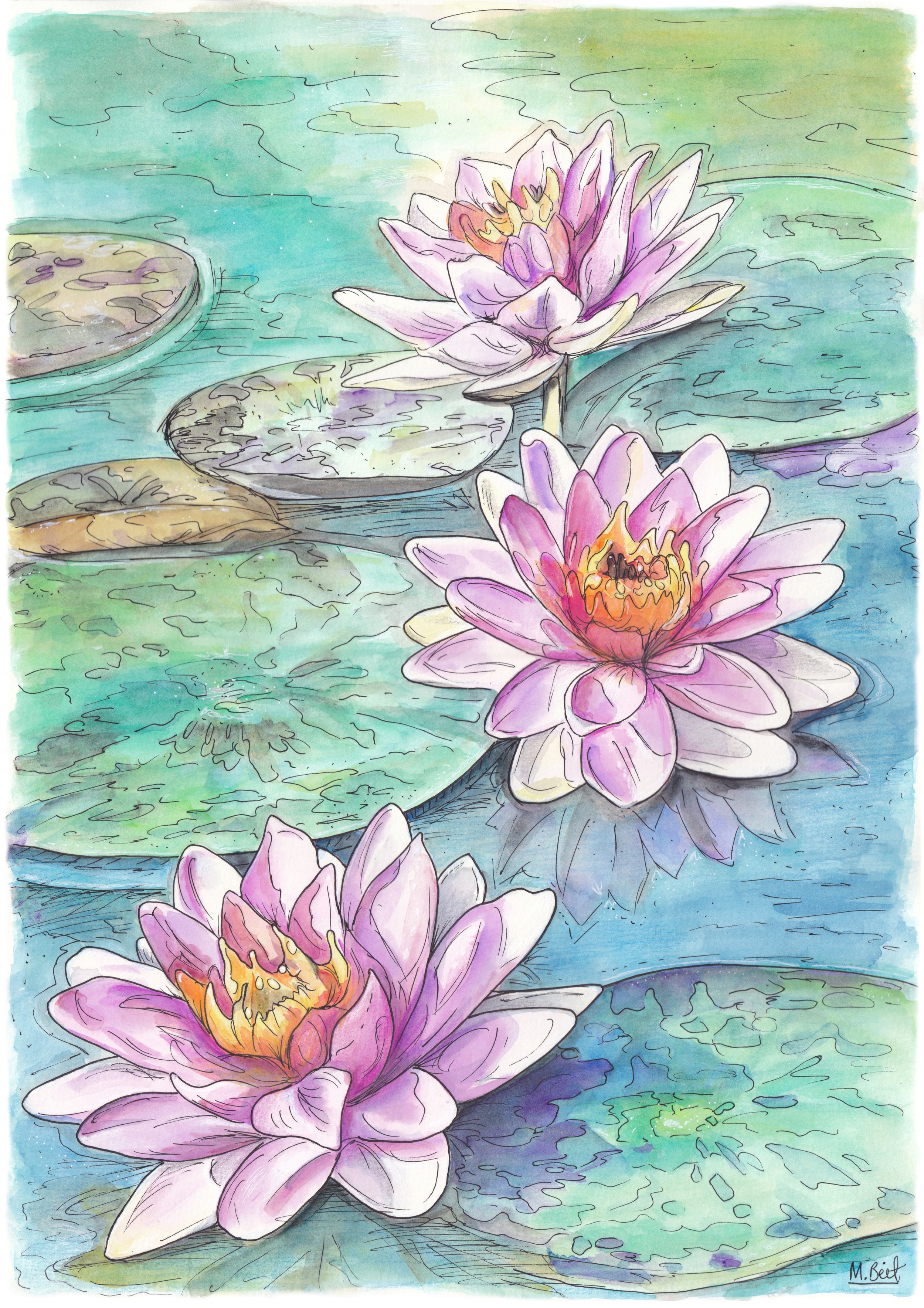 Lotus