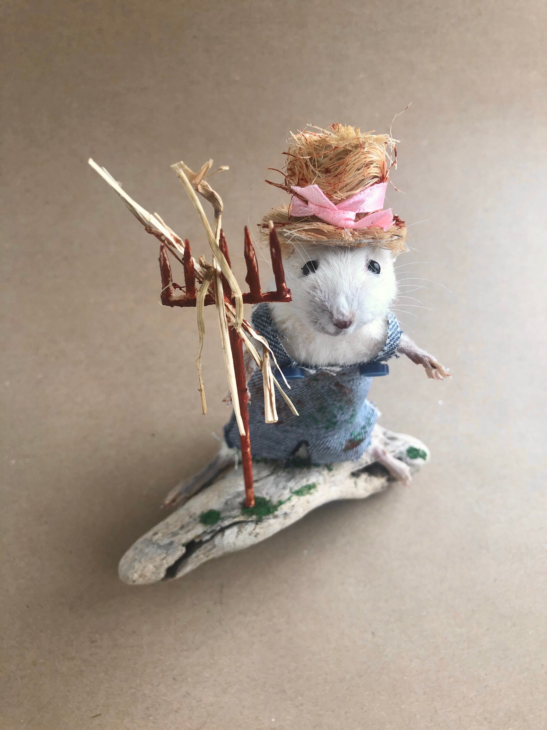 https://i.etsystatic.com/22496803/r/il/32b1f5/2422596105/il_fullxfull.2422596105_pr5a.jpg