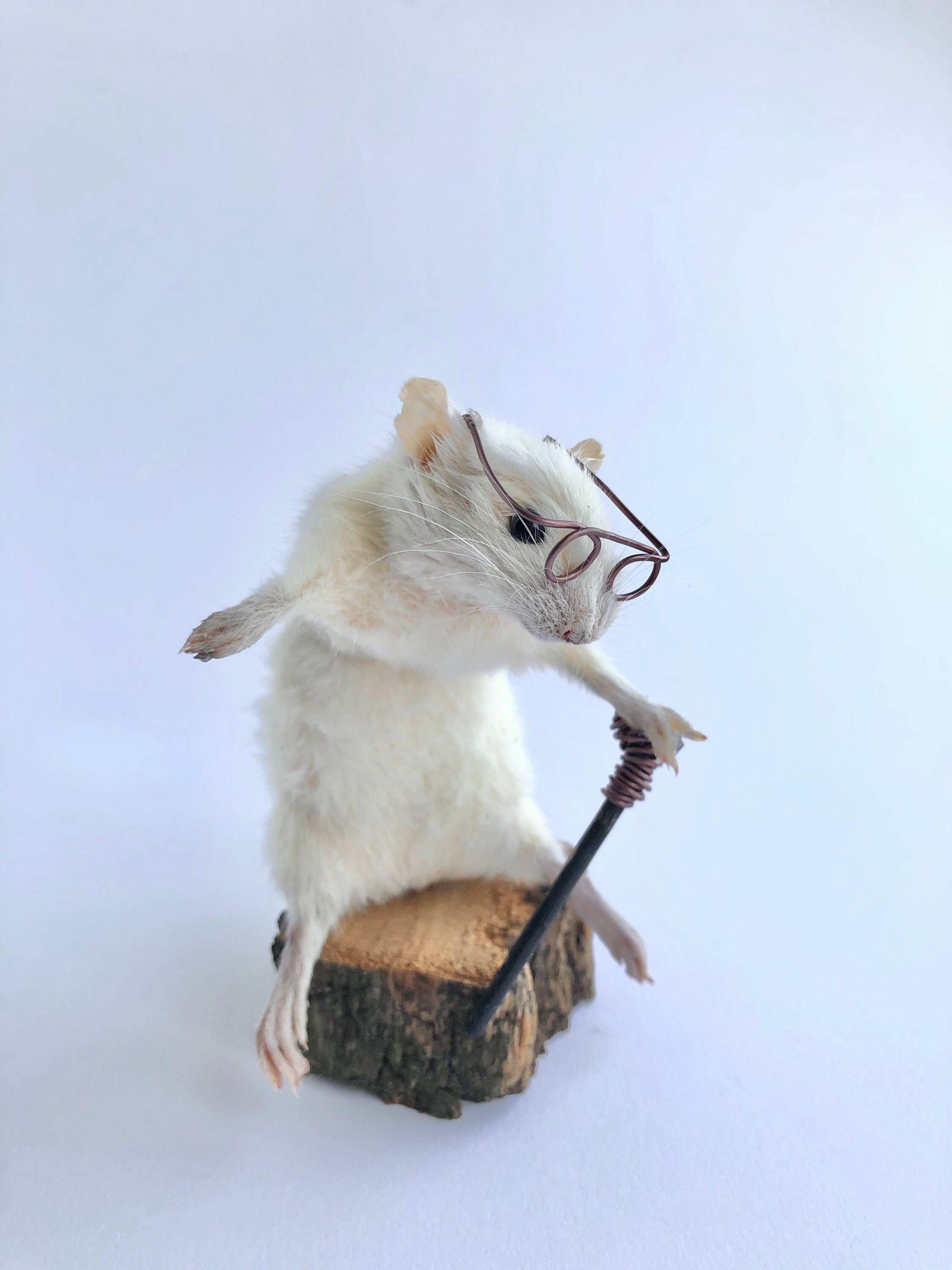 https://i.etsystatic.com/22496803/r/il/742418/2333752862/il_fullxfull.2333752862_lmjx.jpg