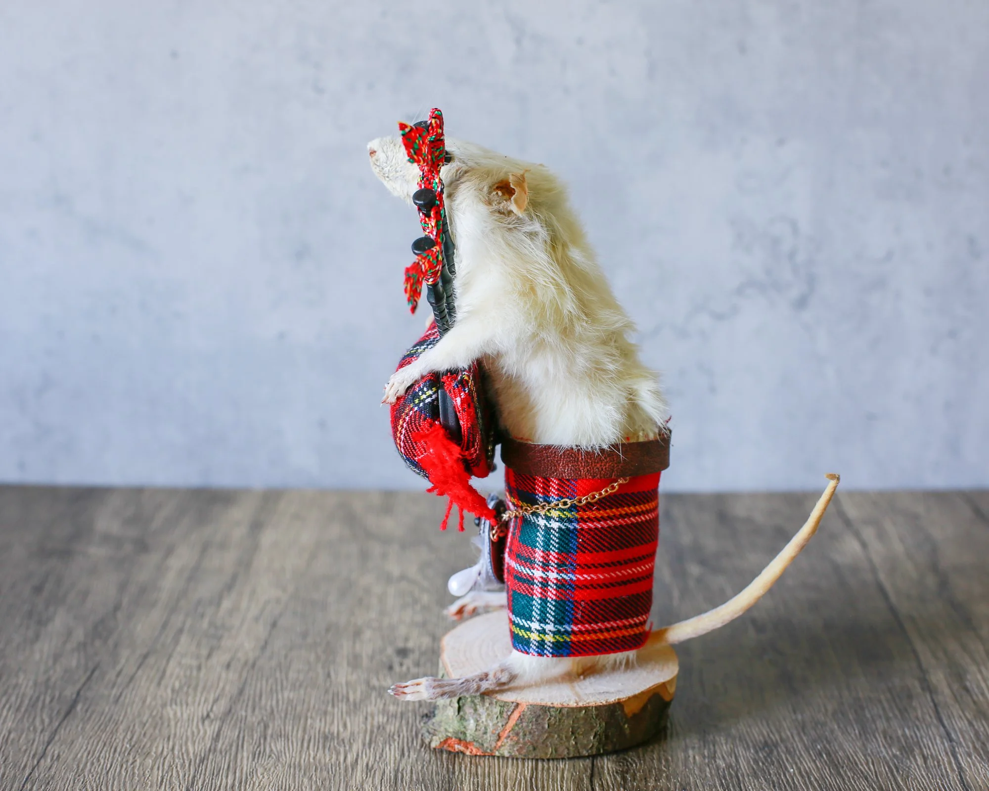 SCOTCH IAN-5.jpg