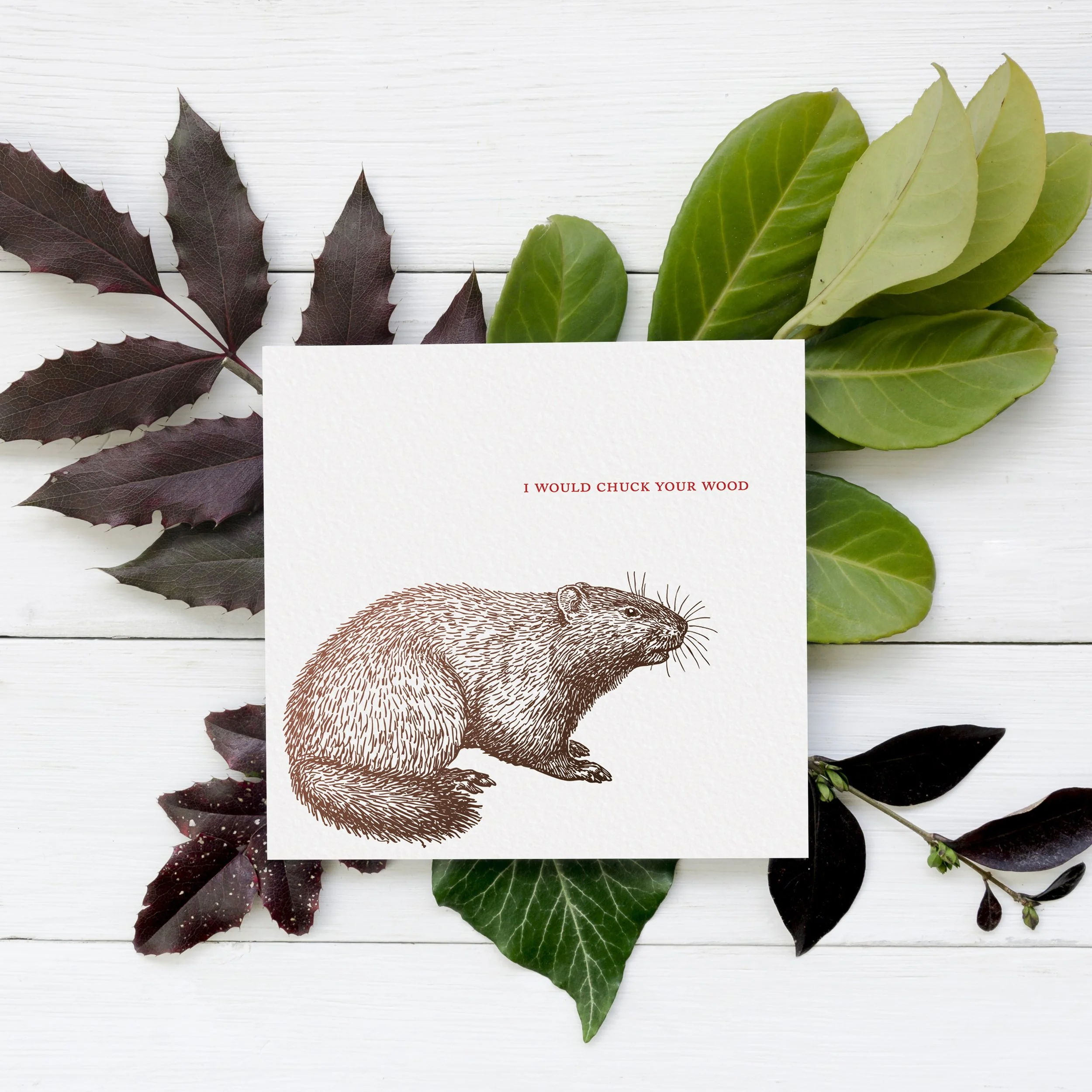 DG142_2 Batch leaves.jpg