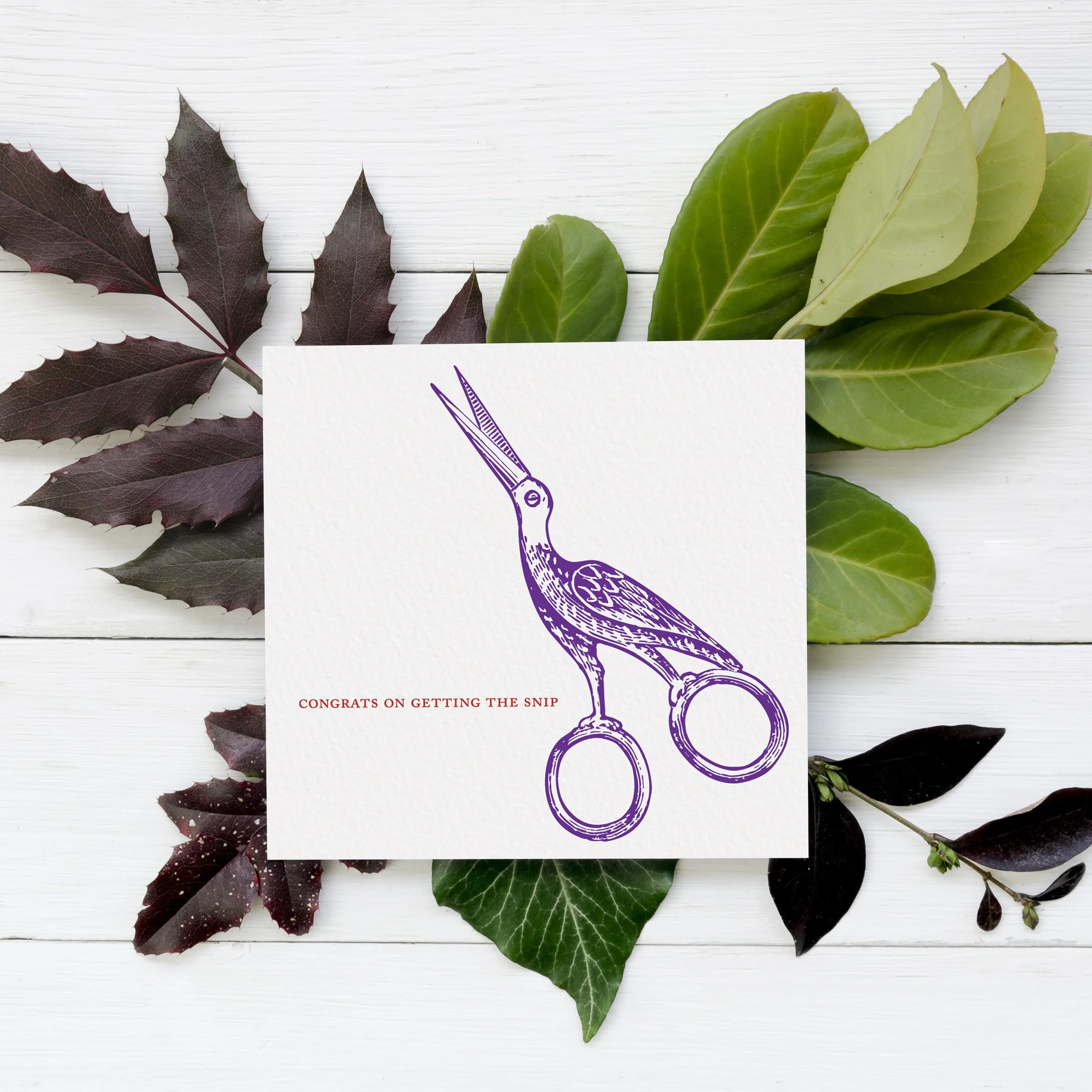 DG143_2 Batch leaves.jpg