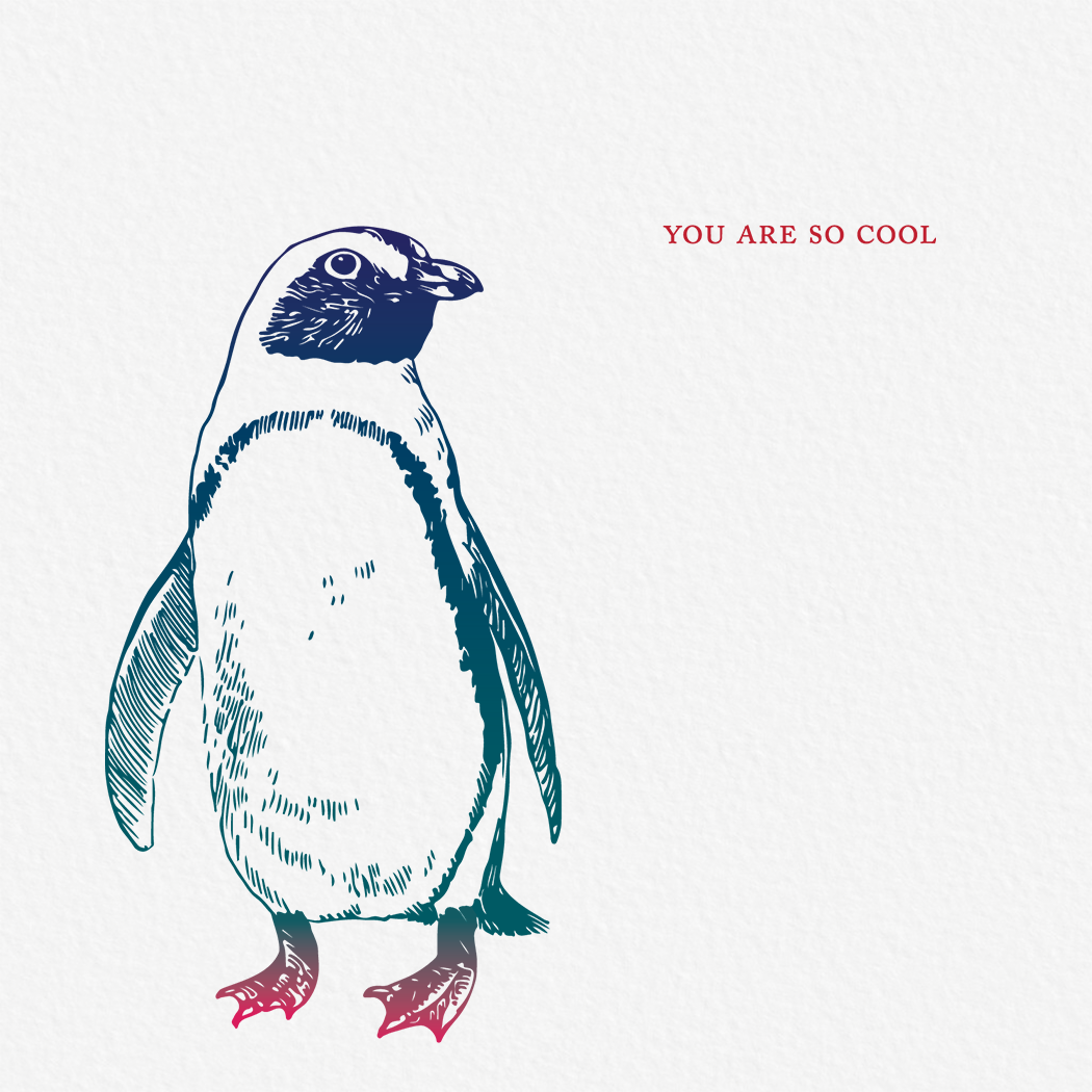 Square greeting card featuring a colorful etching-style illustration of a penguin on a white background. Blank inside.