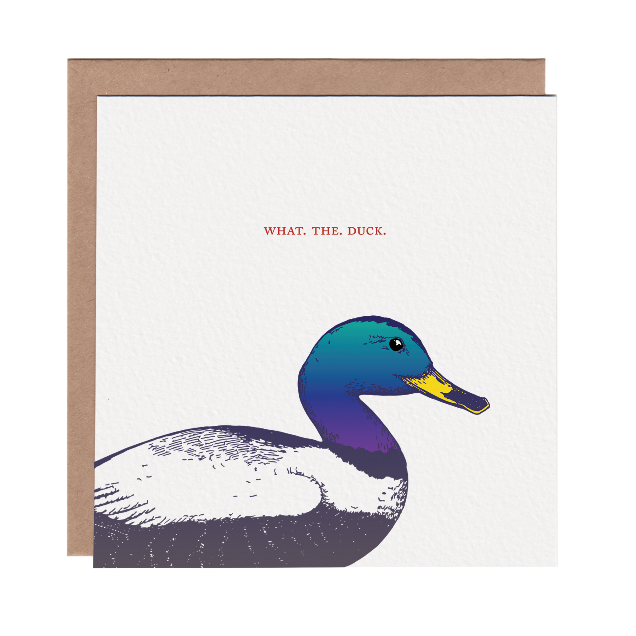 Square greeting card featuring a colorful etching-style illustration of a duck on a white background. Brown kraft envelope is included
