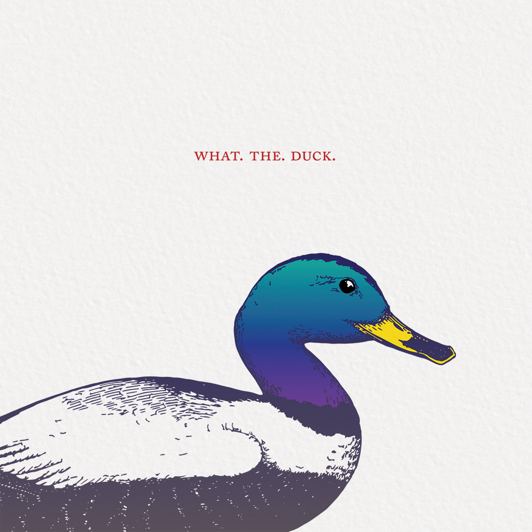 Square greeting card featuring a colorful etching-style illustration of a duck on a white background.