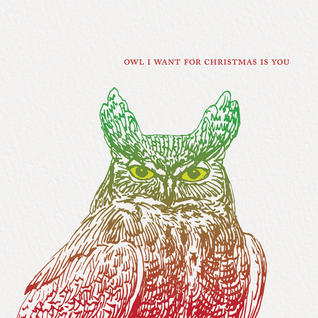 Square greeting card featuring a colorful etching-style illustration of an owl on a white background.