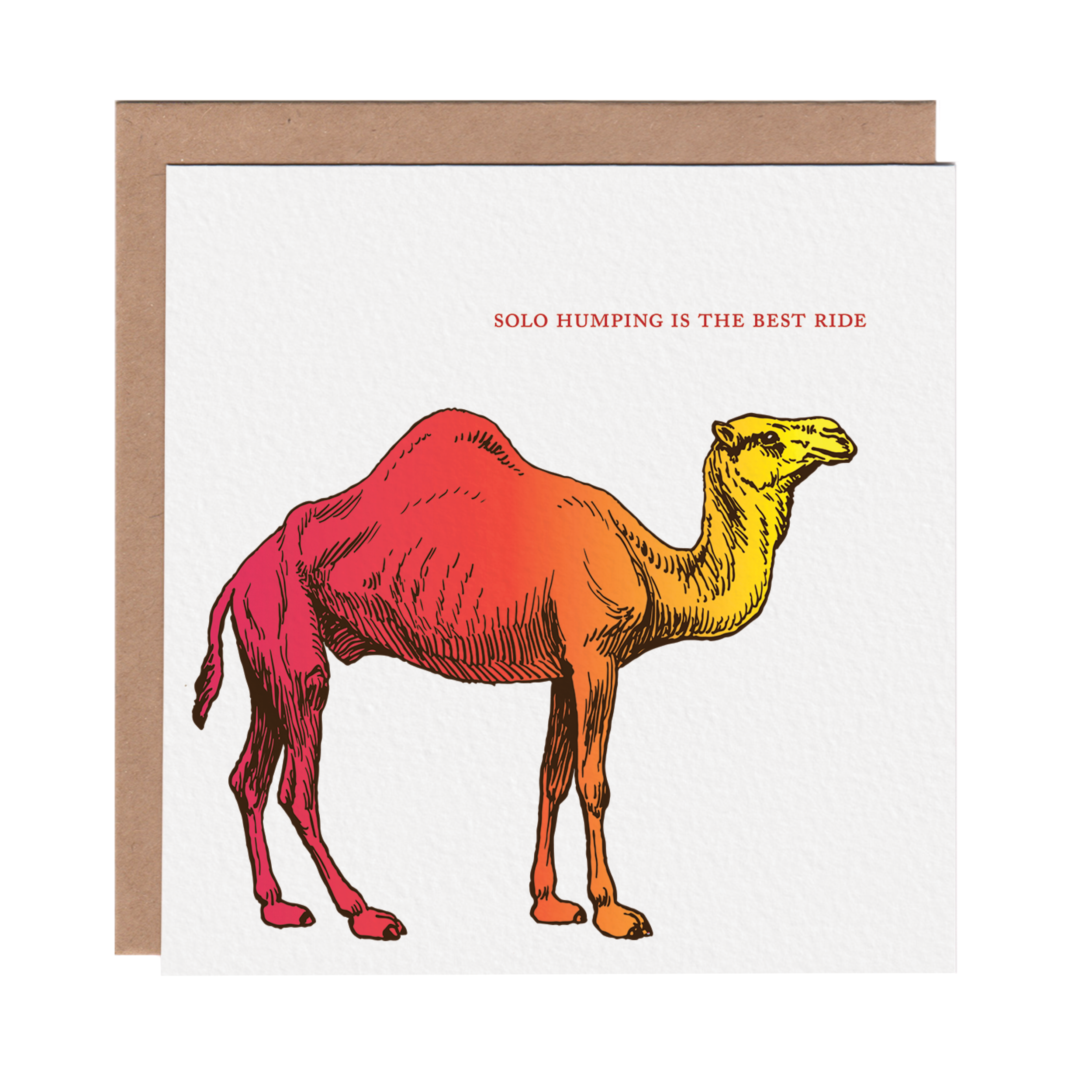 Square greeting card featuring a colorful etching-style illustration of a camel on a white background. Brown kraft envelope is included