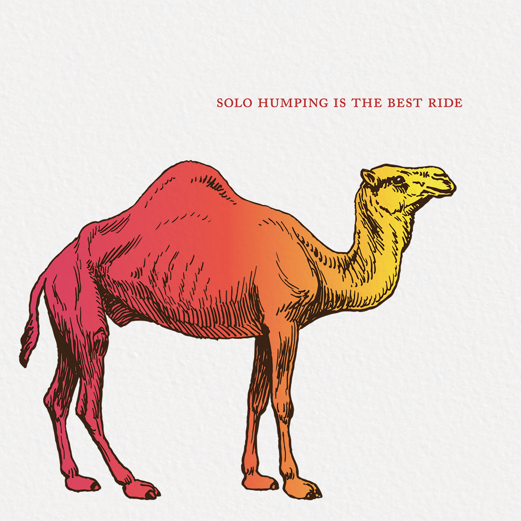 Square greeting card featuring a colorful etching-style illustration of a camel on a white background.