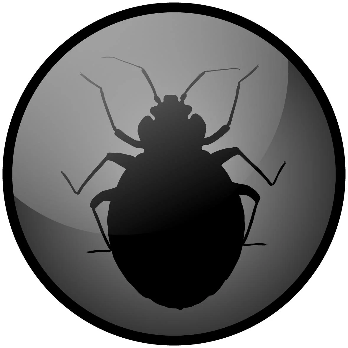 bedbug.jpg