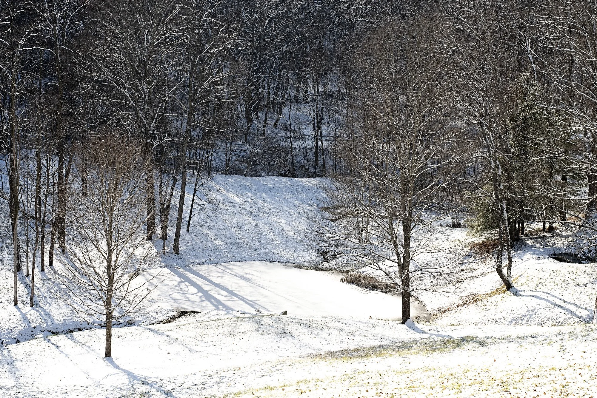 PF fuji_tak1.4_2021Dec09_0122_2-sharpened.jpg