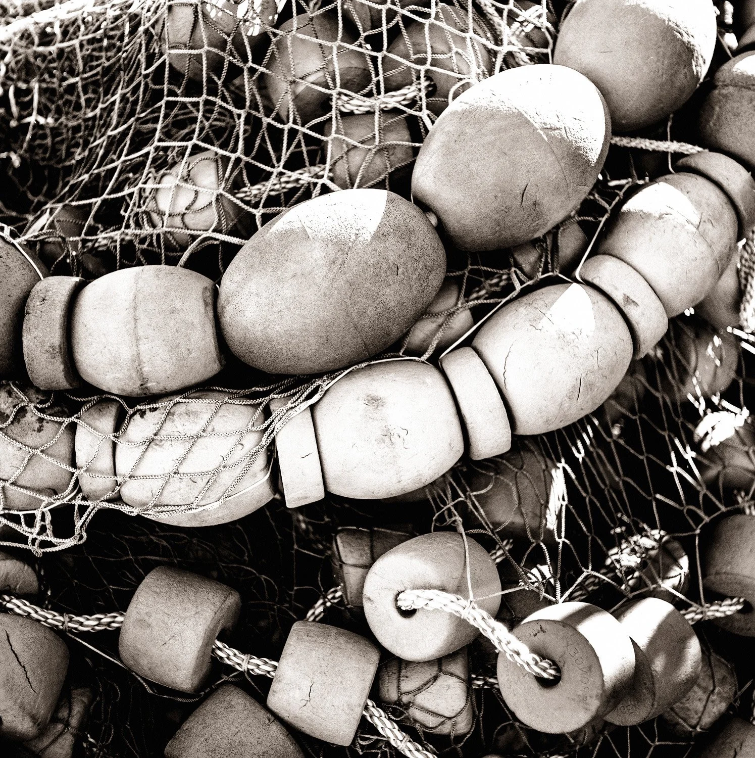 img092-Edit-2 copy.jpg