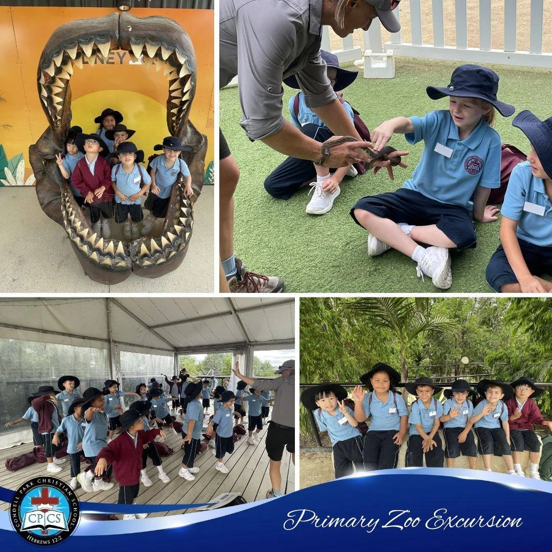 K-2 Excursion to Sydney Zoo 2025