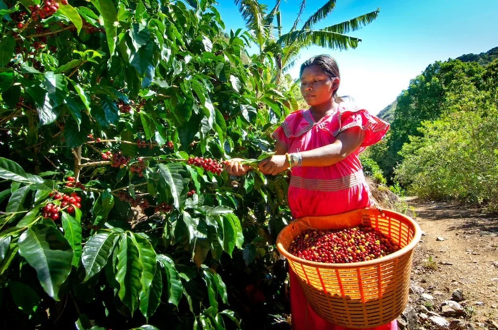 COLOMBIA