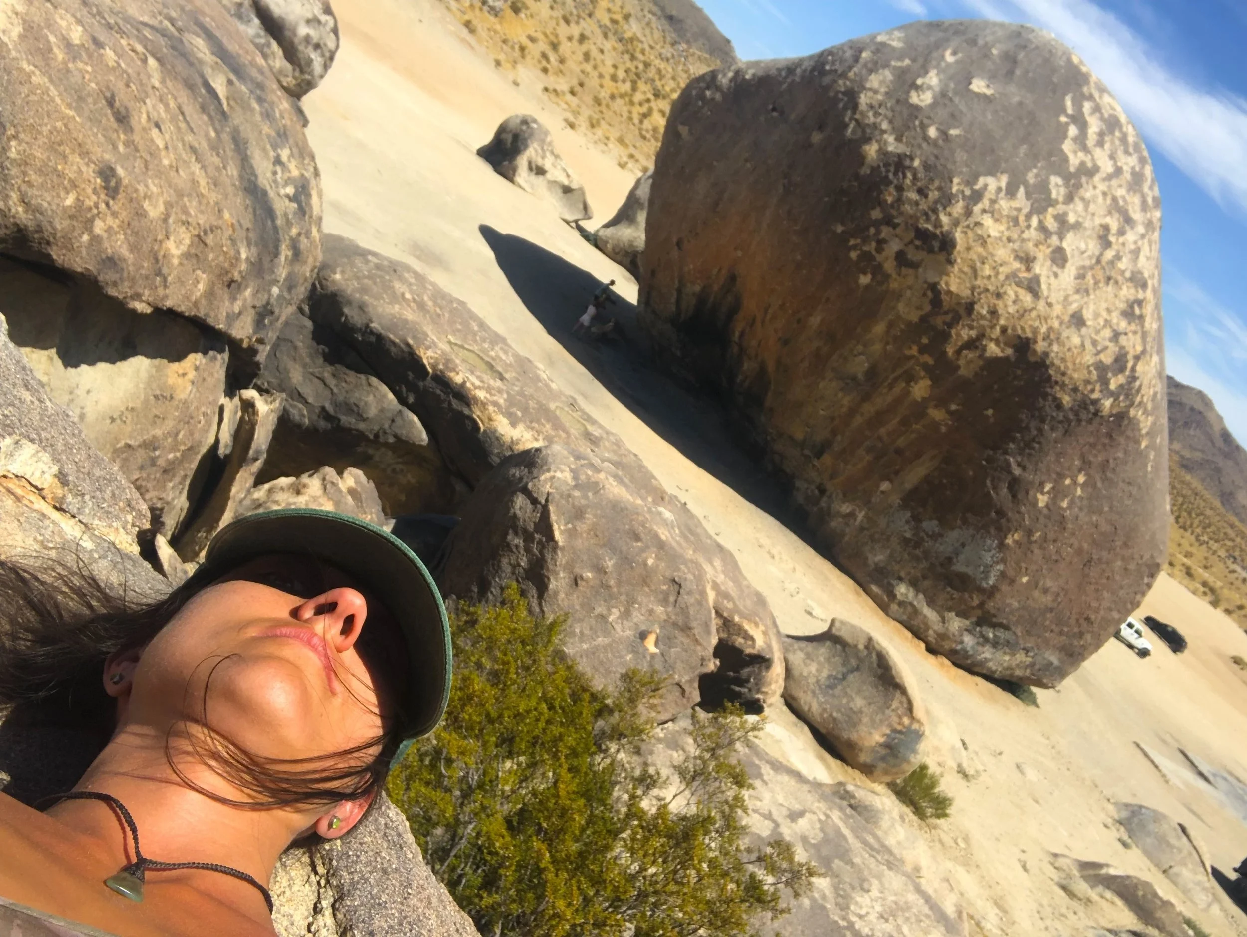 JOSHUA TREE
