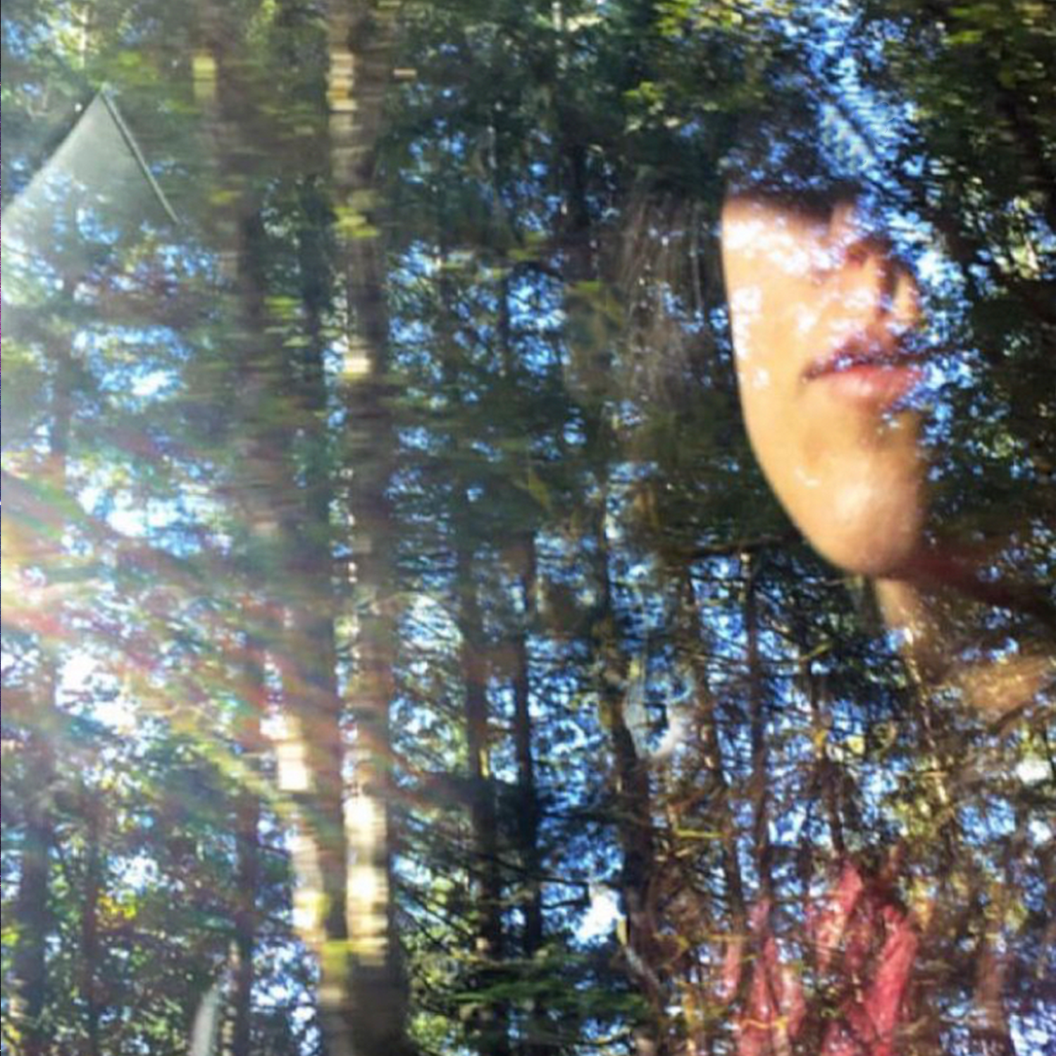 THE AUTHENTIC SELF