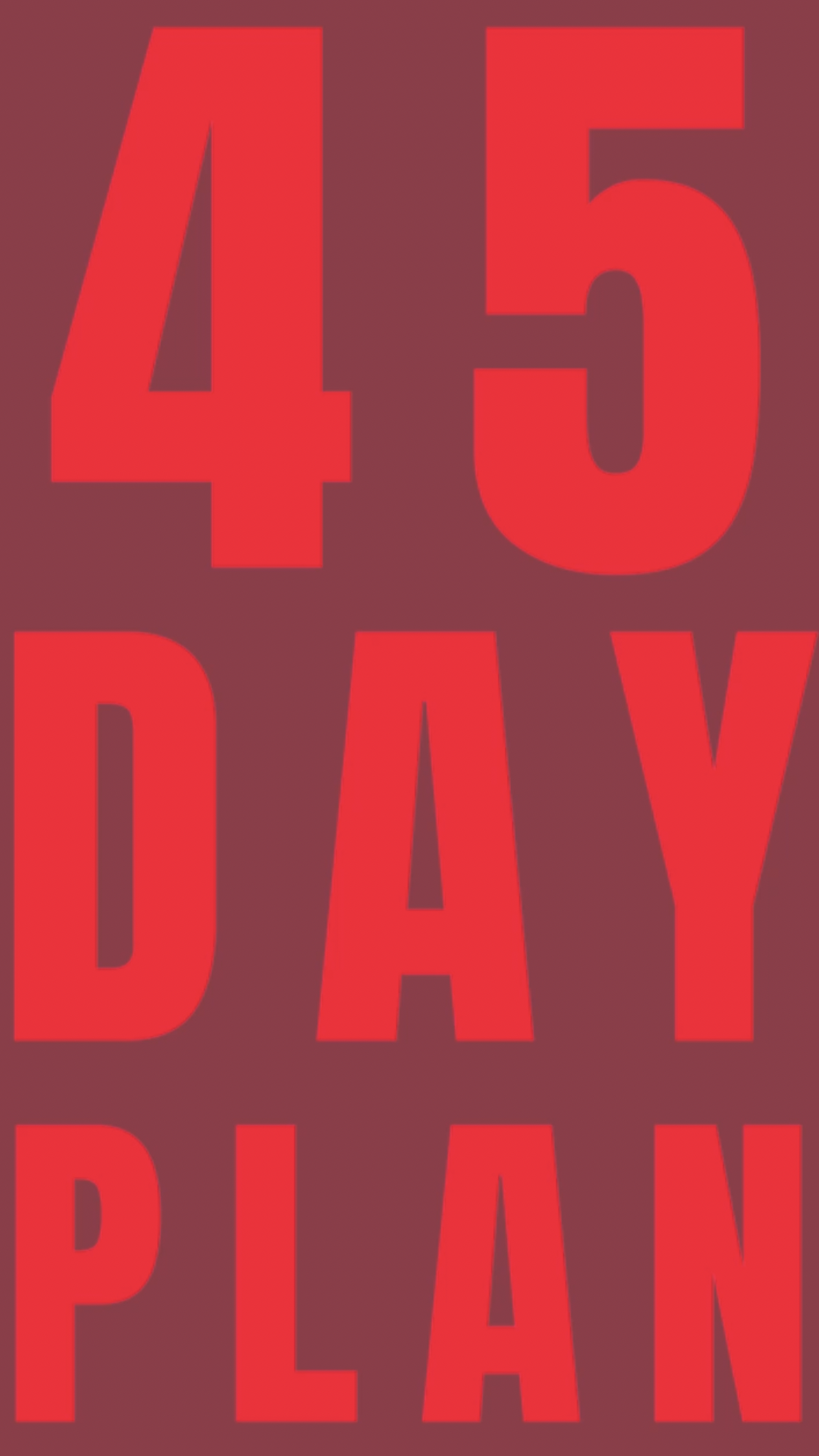 45 DAY / 45 POINT PLAN