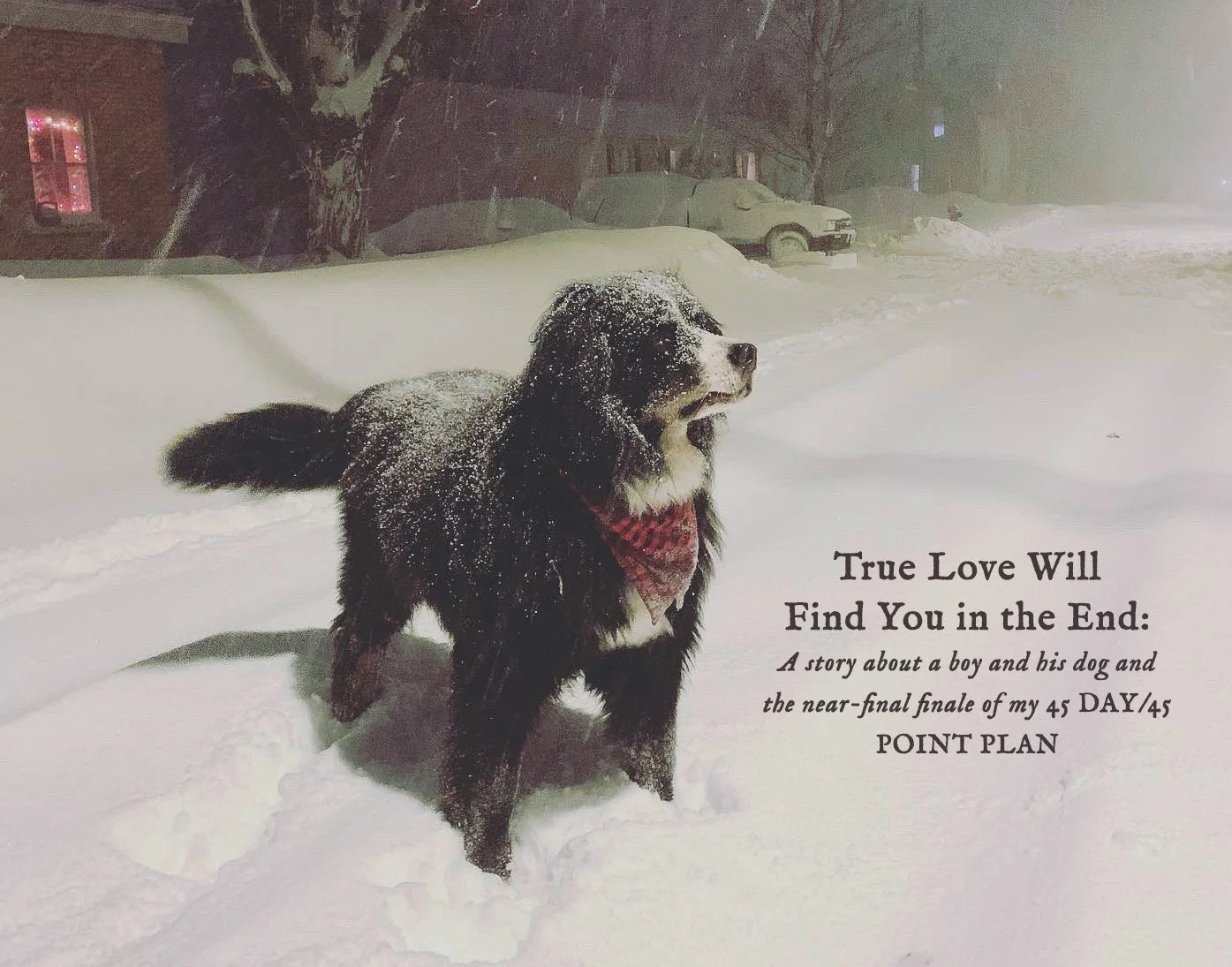 True Love Will Find You in the End: Introduction &amp; Prologue