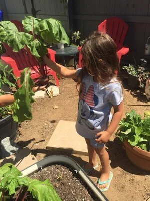 His-Harvest 06.jpeg