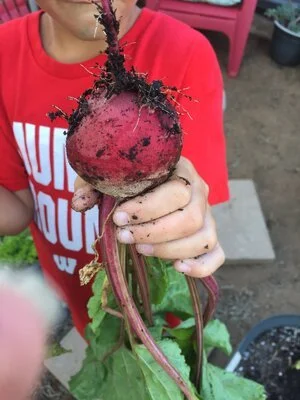 His Harvest 05.jpeg