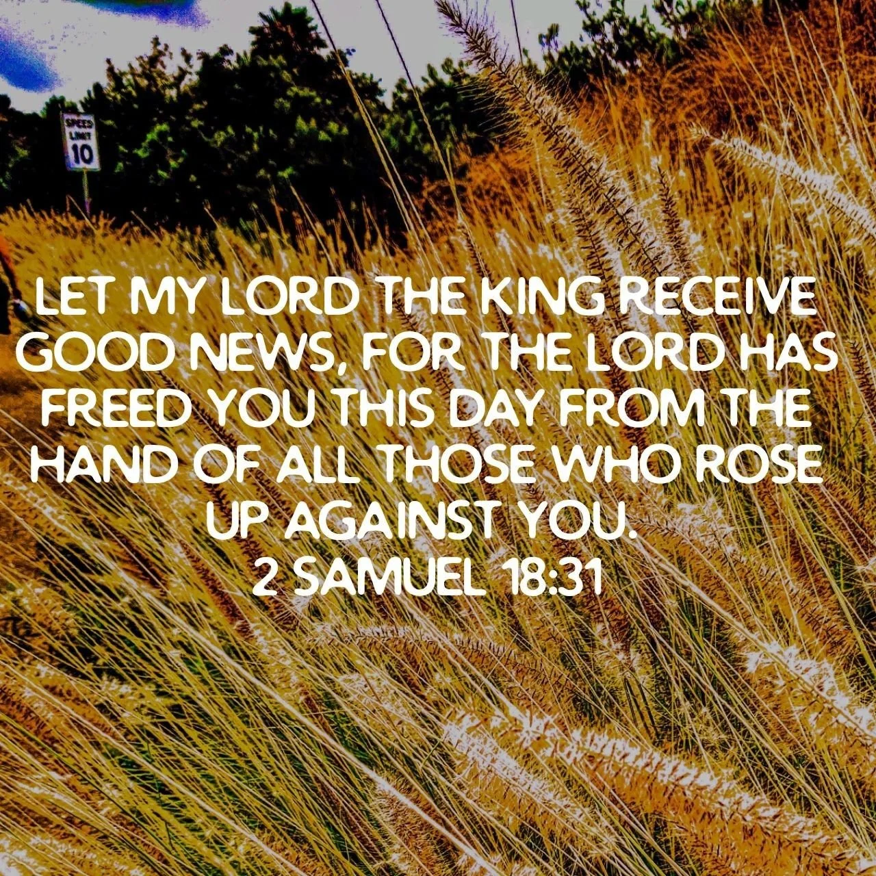 2 Samuel 18