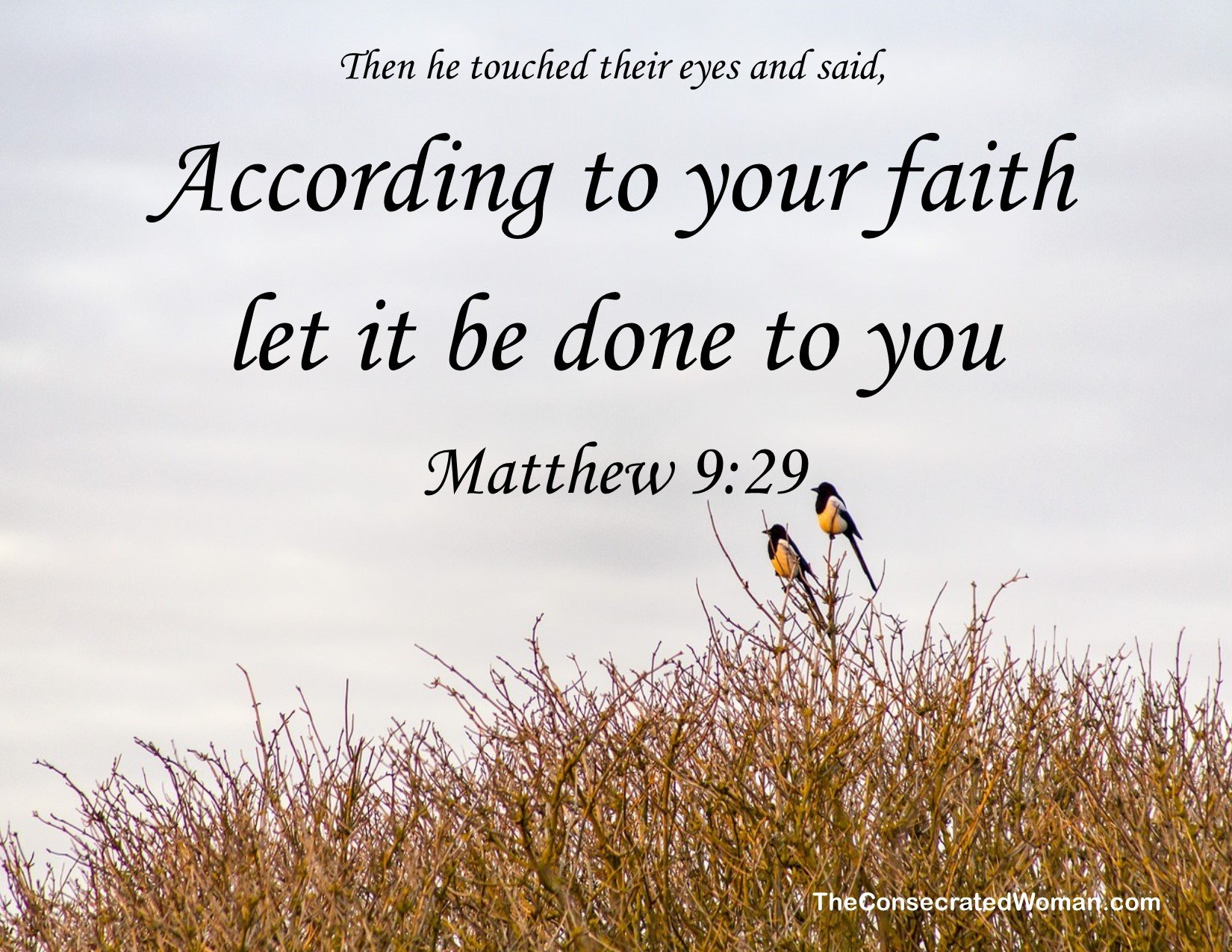 Matthew 9