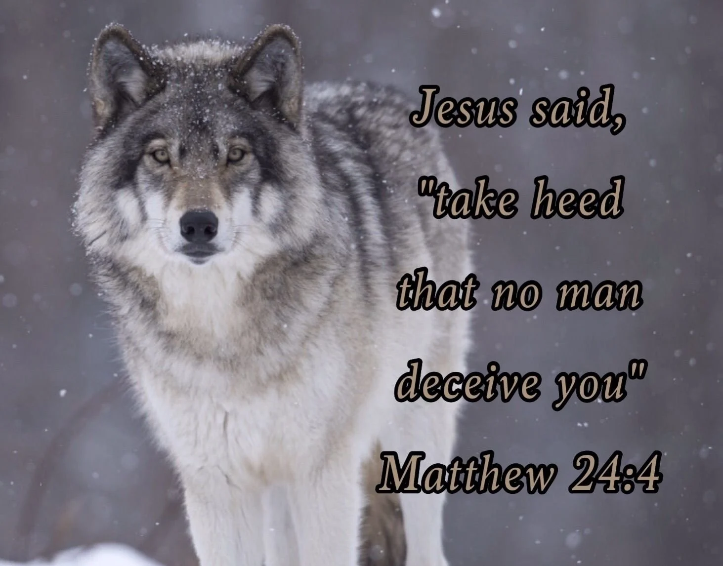 Matthew 24:1-14
