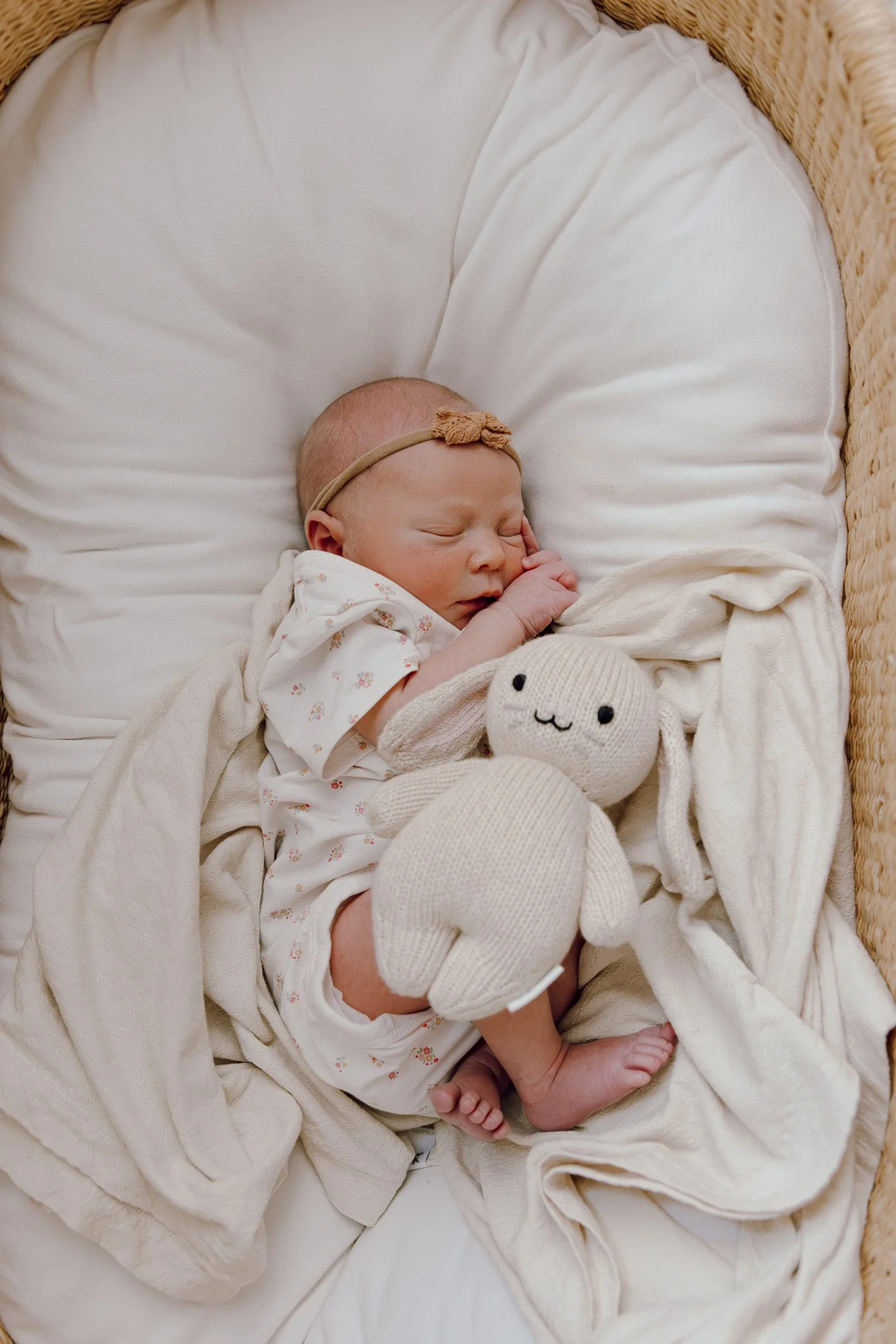1M3A9255-Enhanced-NR.jpg
