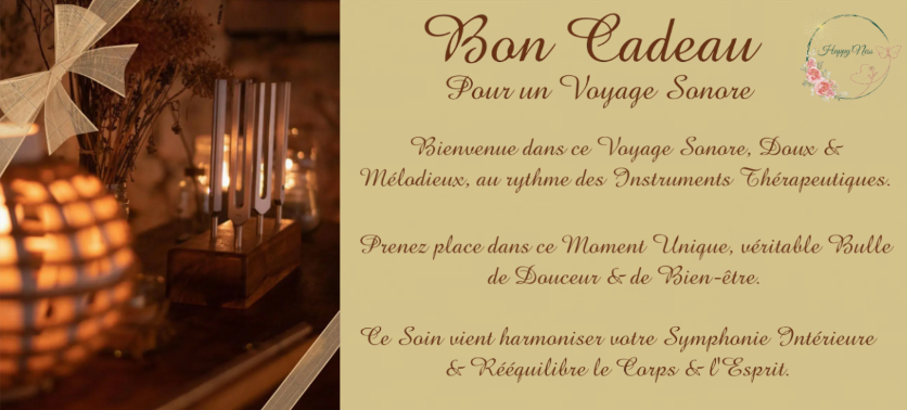 bon cadeau voyage sonore