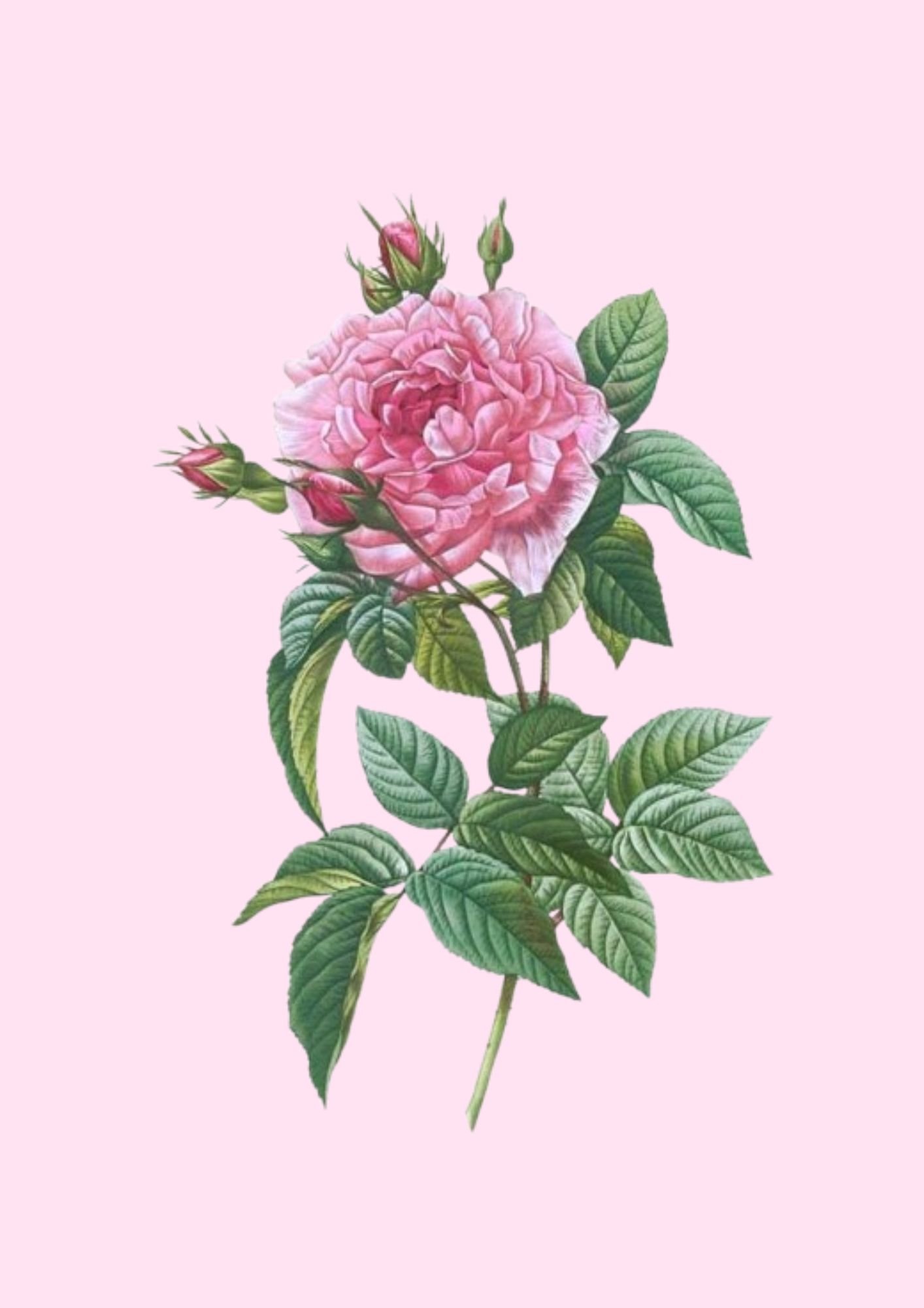 massage beauté sacrée