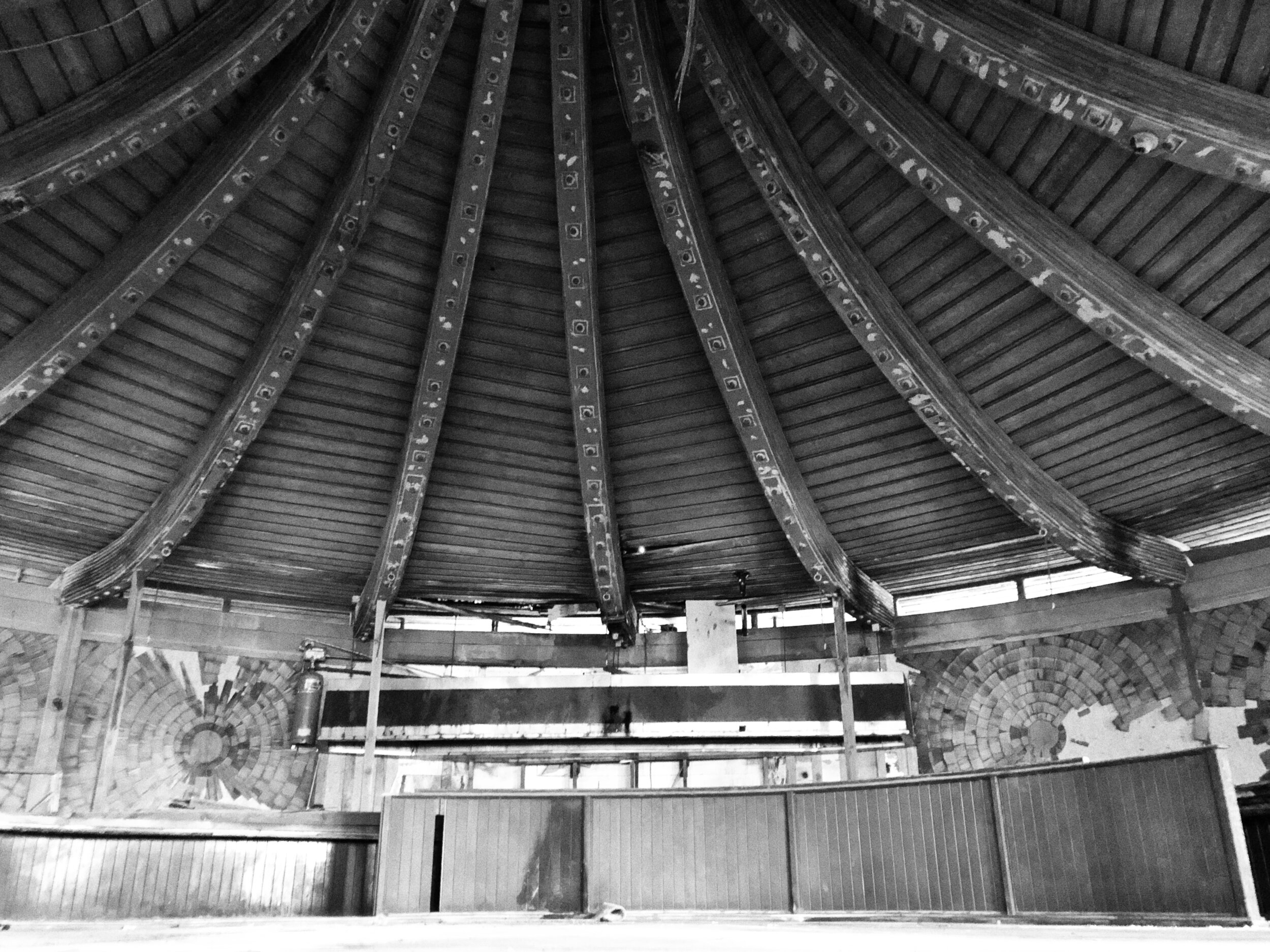 seashell_inside.jpg
