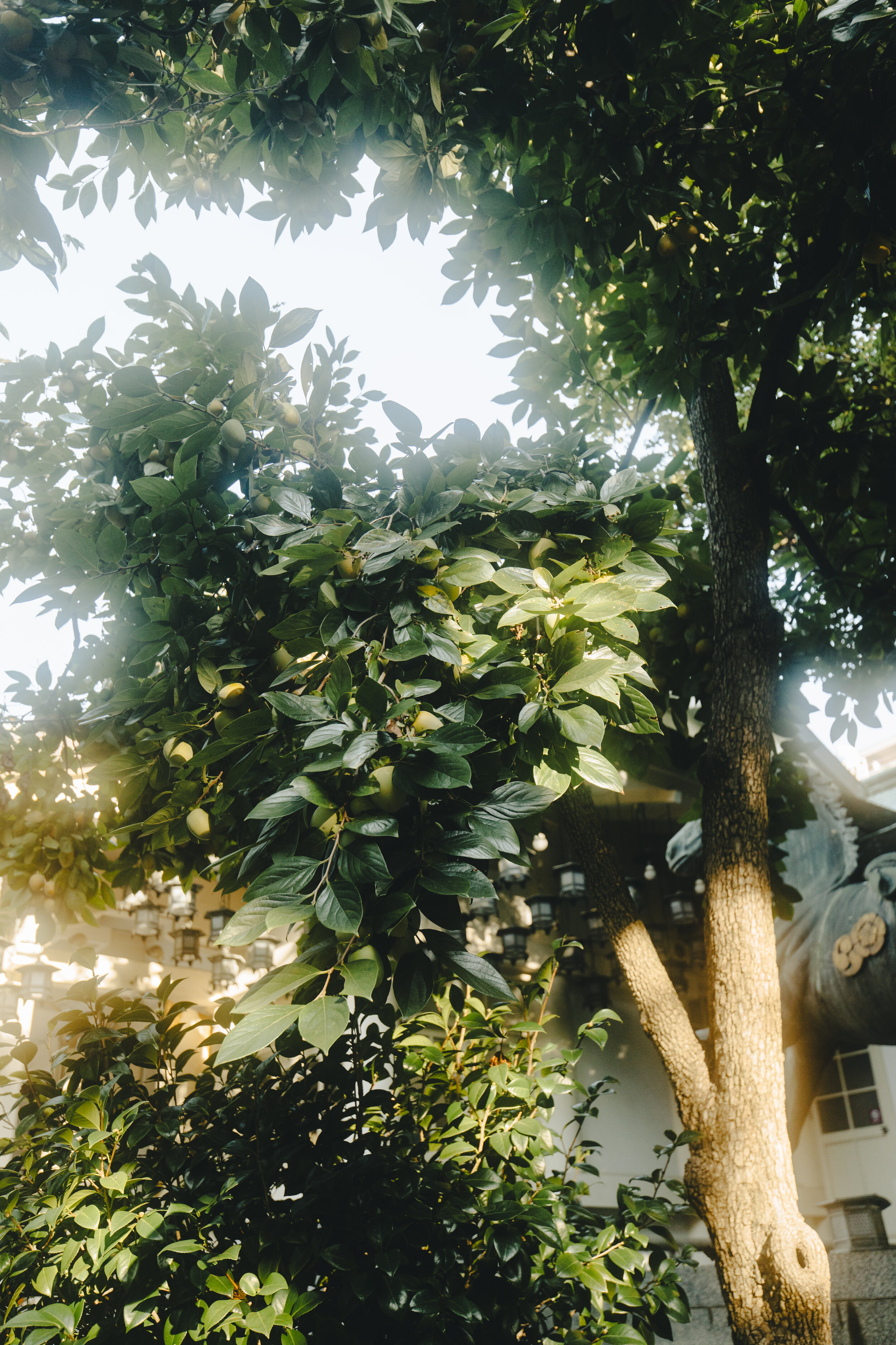 AB7FF49B-33E6-4C98-9F6C-8727E96A03D8.jpeg