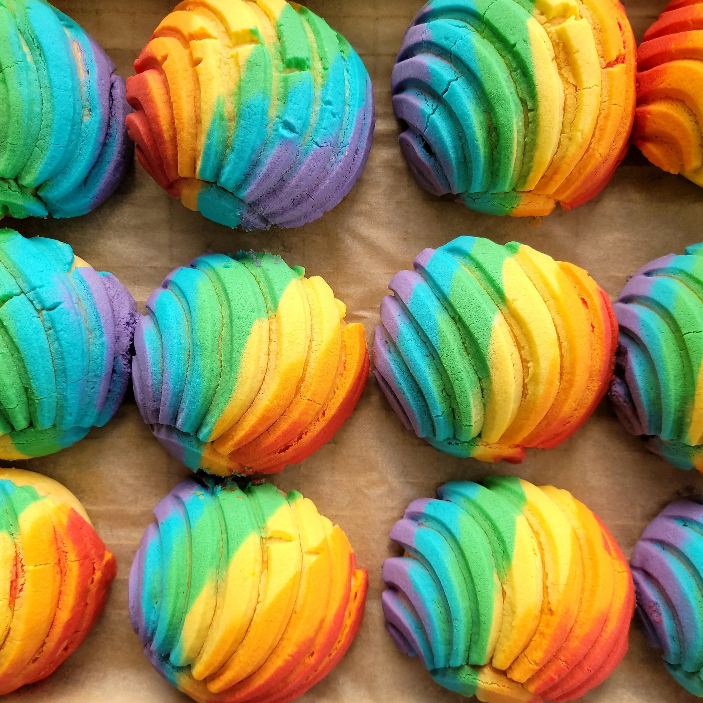 Pride Concha