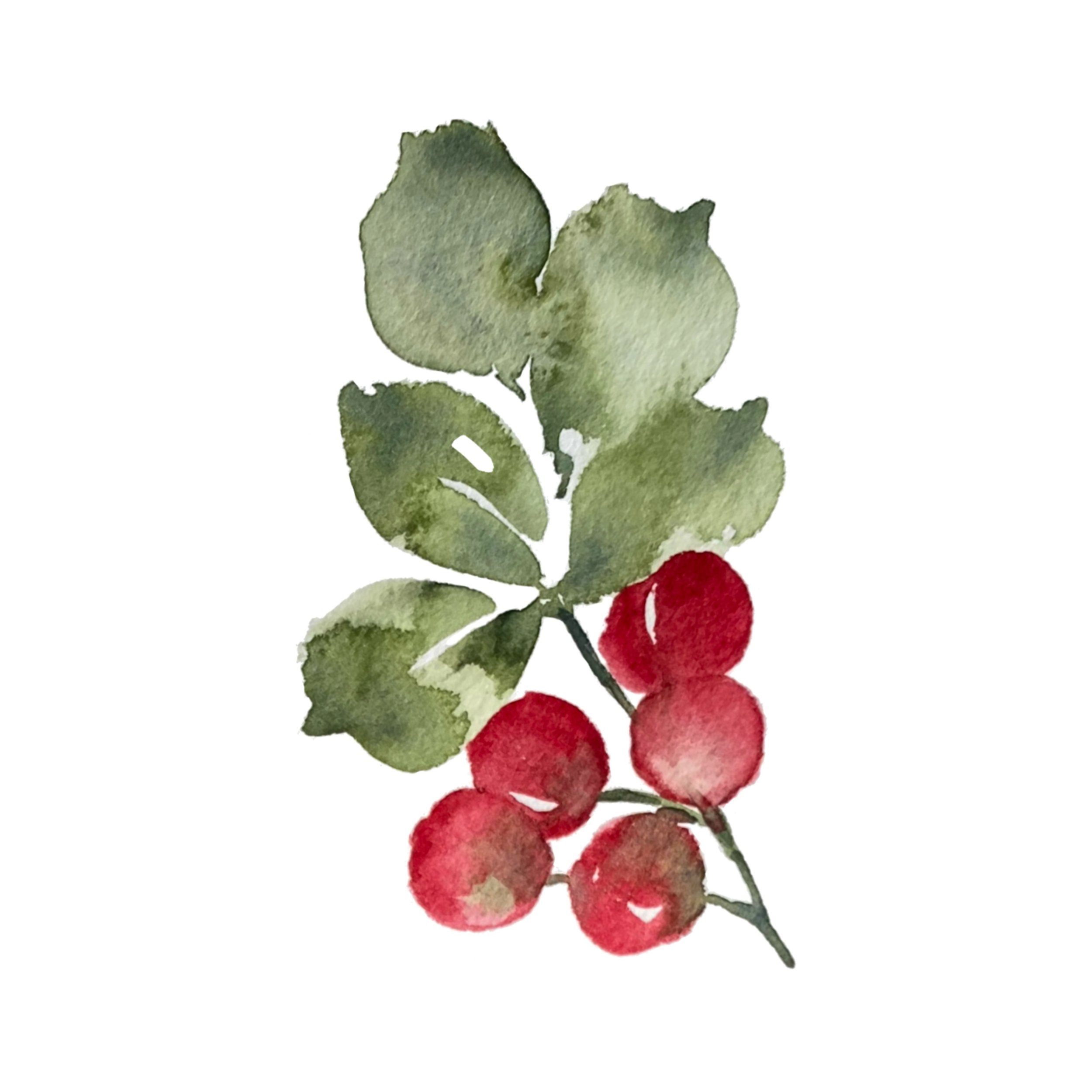 Keeping Sunday simple&hellip;&hearts;️&hearts;️&hearts;️

Watercolor berries for the win
&hellip;
&hellip;
#berries #watercolor #watercolorart #artist #berrybranch #watercolorberries #fruit #watercolorfruit #happywatercolor #sweetseasonsart #art #art