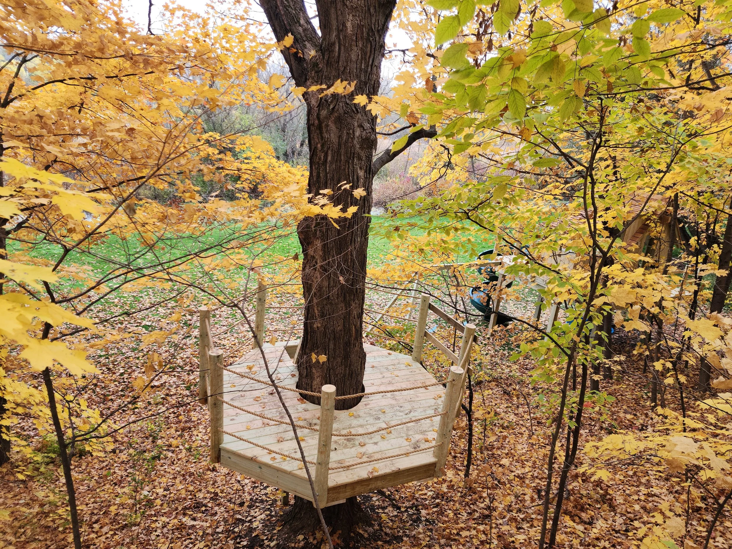 kids-octagon-tree-platform.jpg