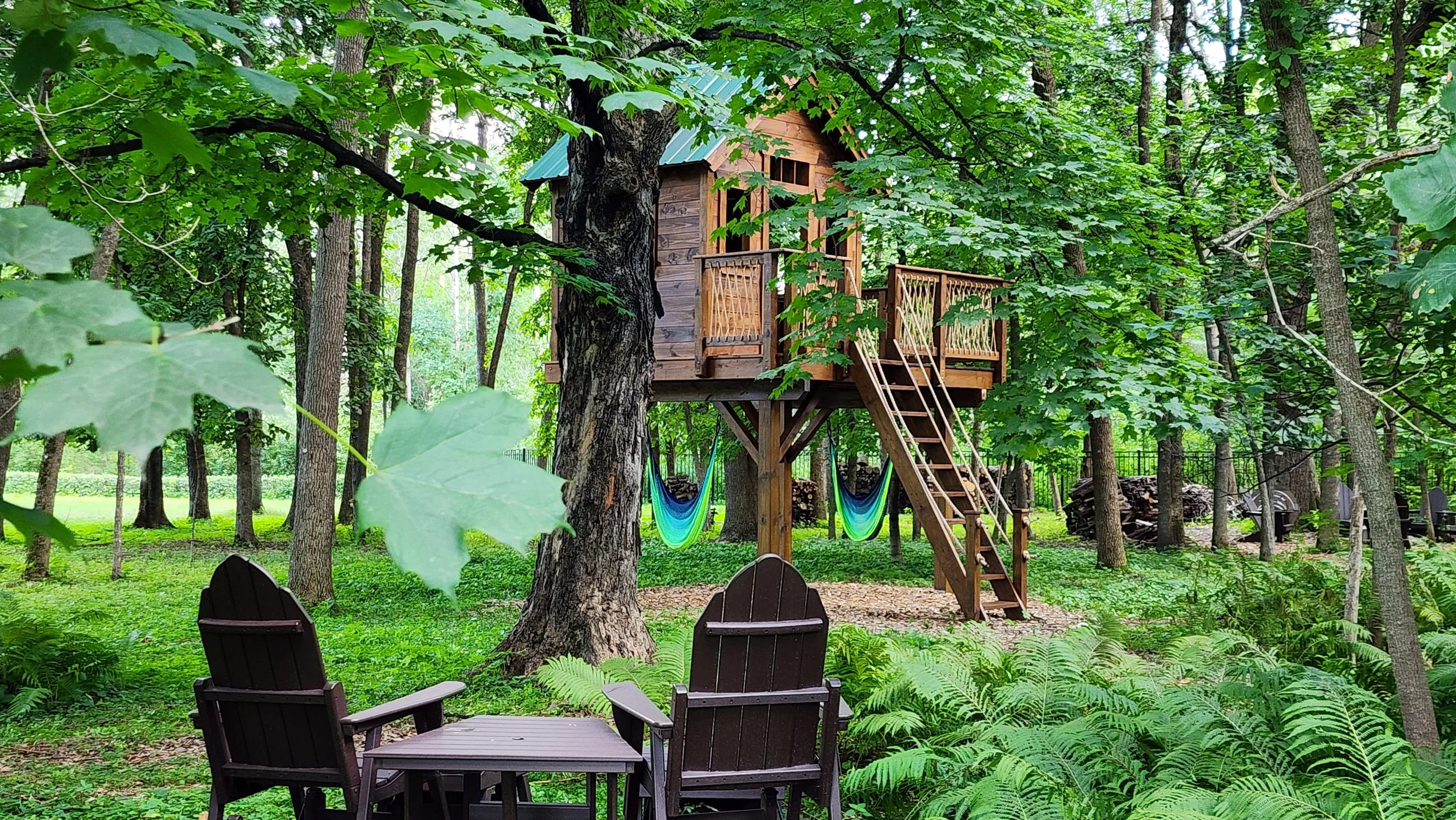 treehouse-from-a-far-stained-brown.jpg