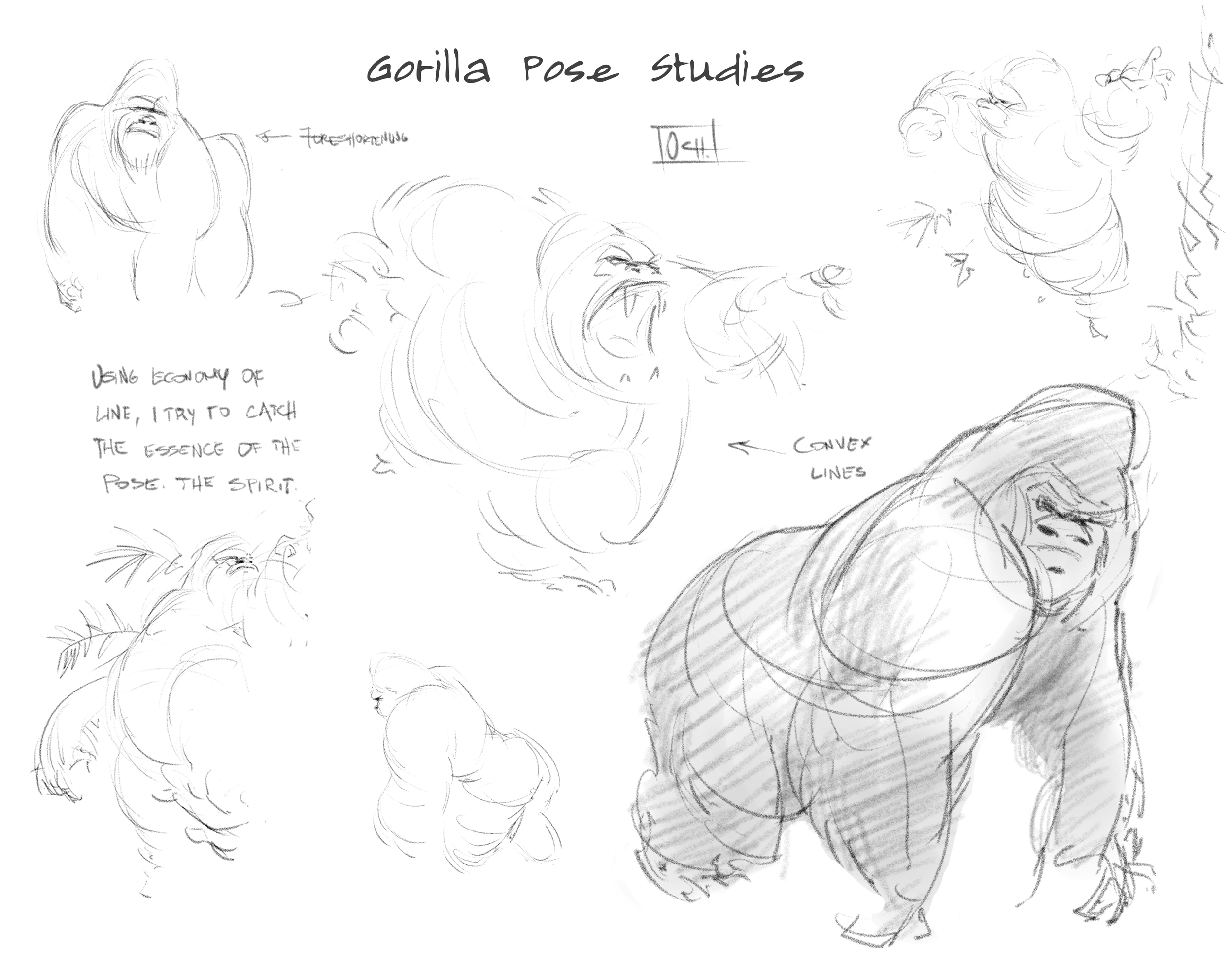 Gorilla Pose Studies.png