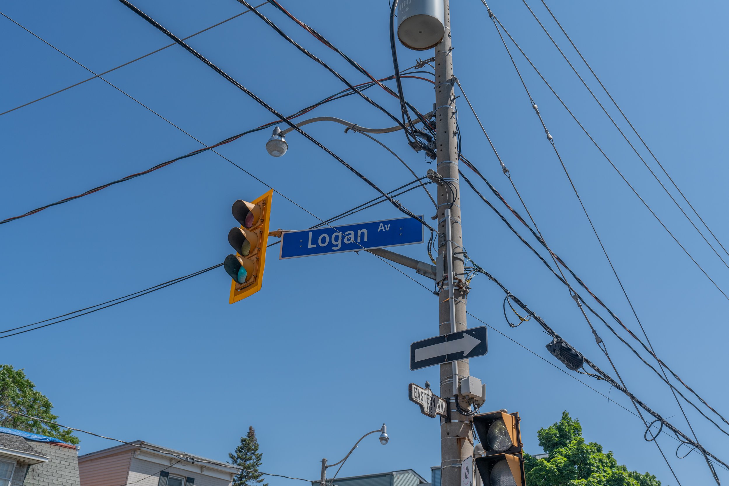 Logan-6.jpg