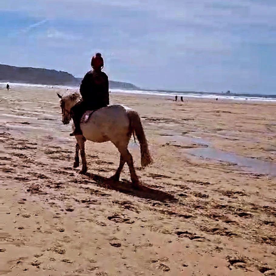 What an amazing opportunity for our child at Five Oaken to ride on a Cornish beach! 🐎 We are super proud of the skills, passion, and love this young person has for horses! 💚💚💚