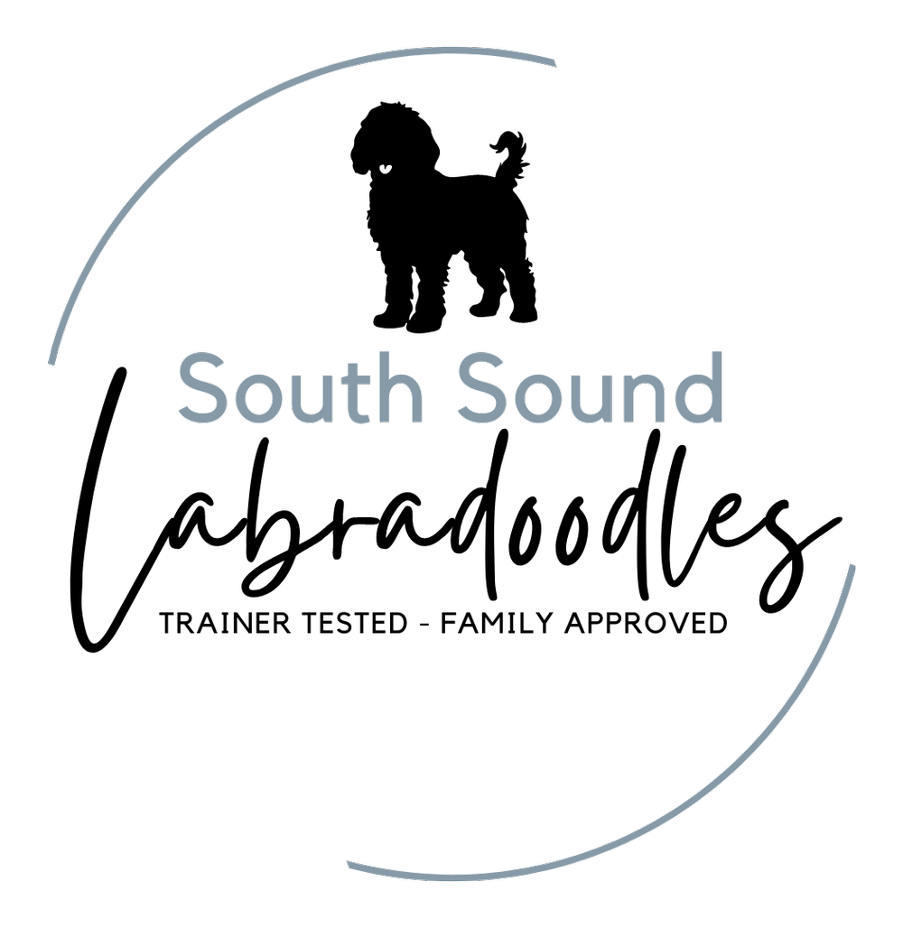 Map of Texas with the words "South Sound" overlaid, indicating a connection to the southern region of Texas.