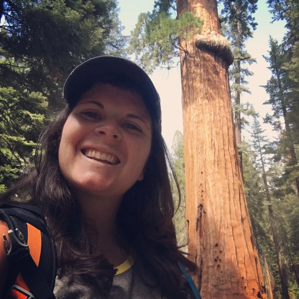 Sequoia National Forest: Those are Some Big Ass Trees!
