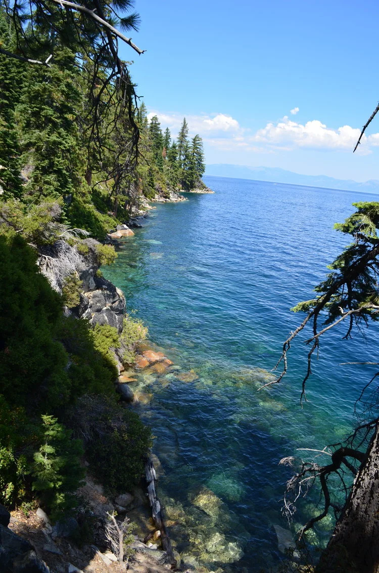 South Lake Tahoe: What's Not to Love?