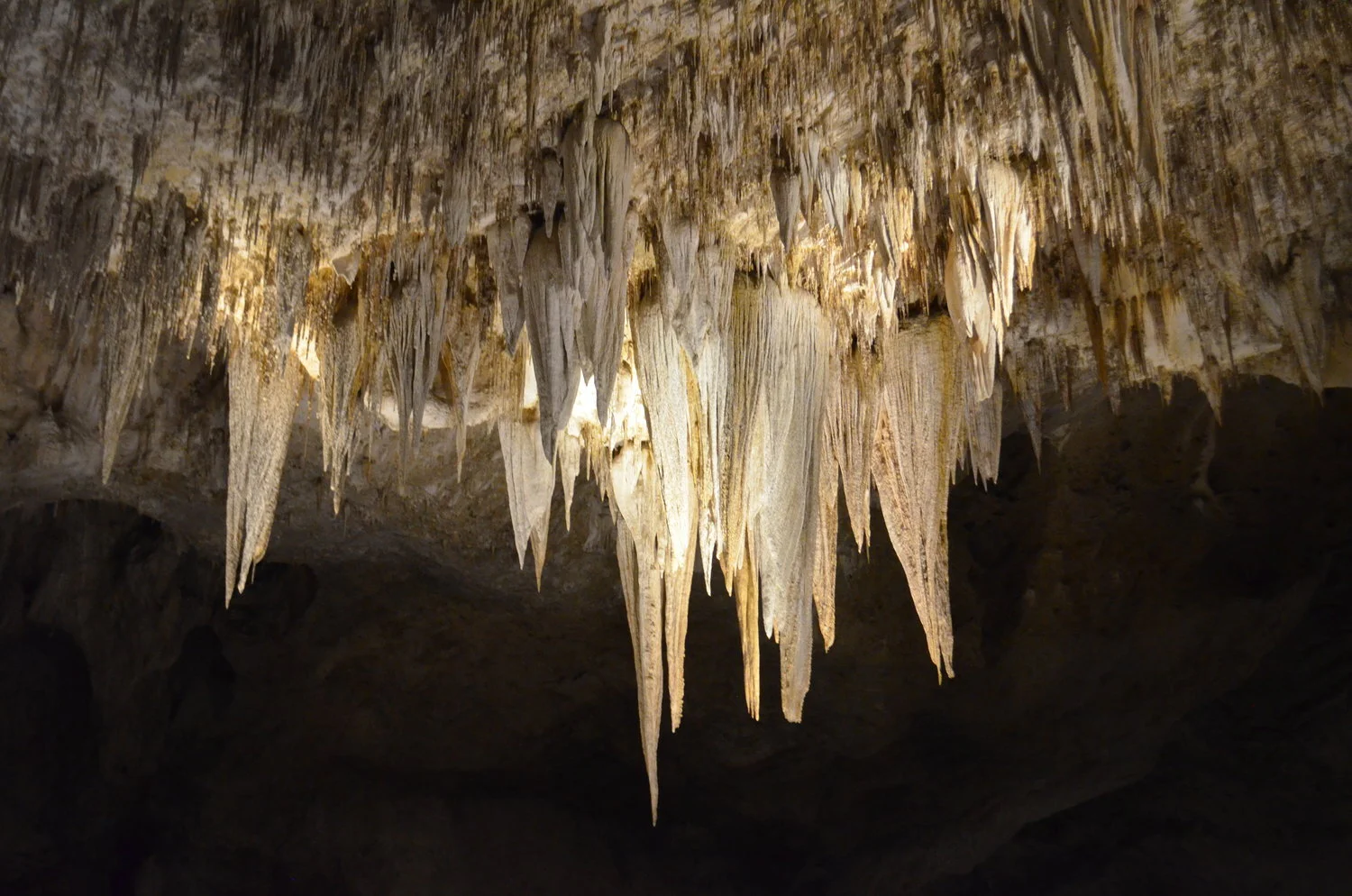Carlsbad Caverns: A Must See for a Scenery Buff!