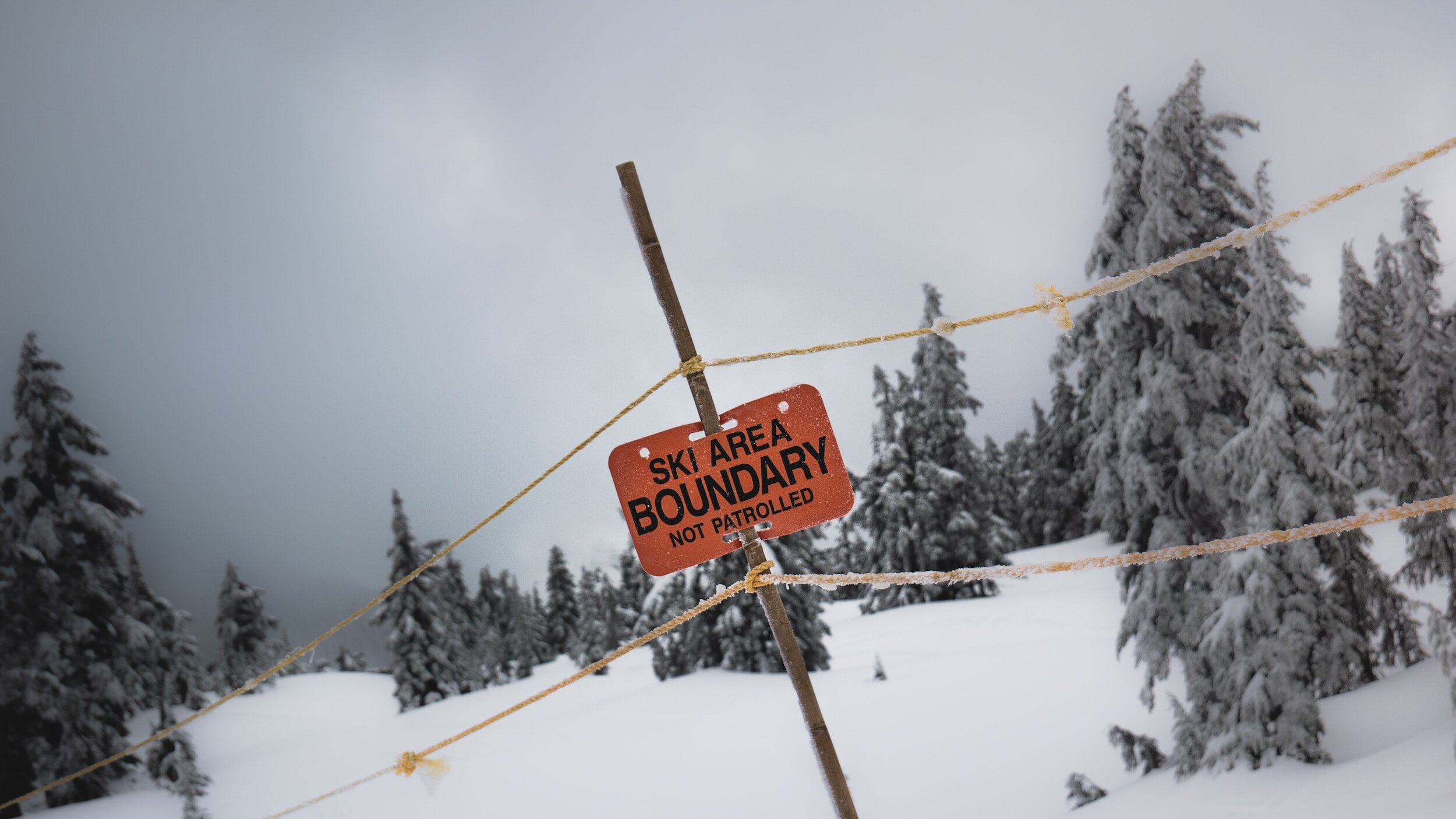 The BEST Boundary Setting Strategy EVER