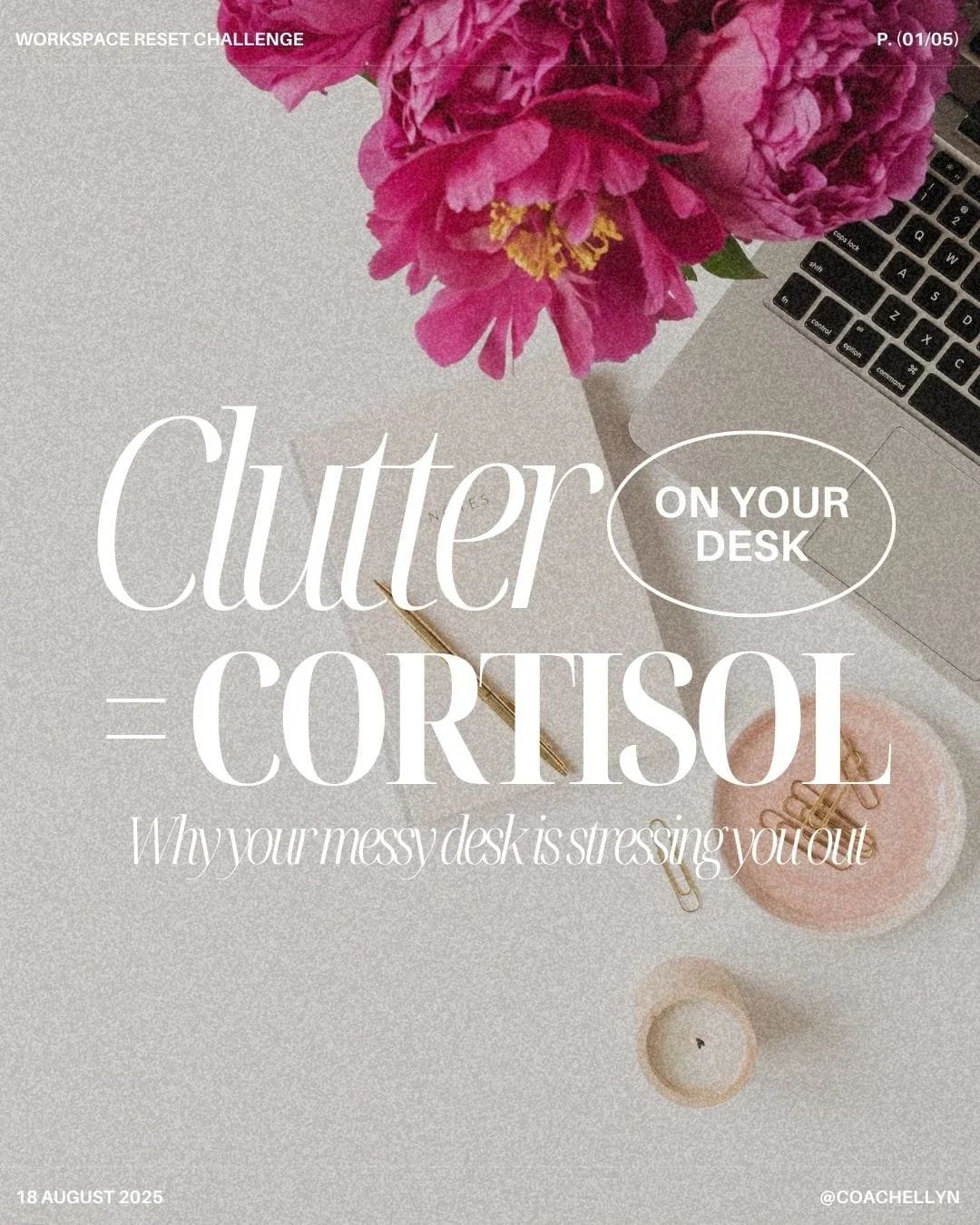 🧠 Your Messy Desk Is Messing With Your Brain

Studies show that when you work in a cluttered space, your brain releases more cortisol &mdash; the stress hormone that leaves you tired, anxious, and on edge.

A tidy workspace isn&rsquo;t just &ldquo;n