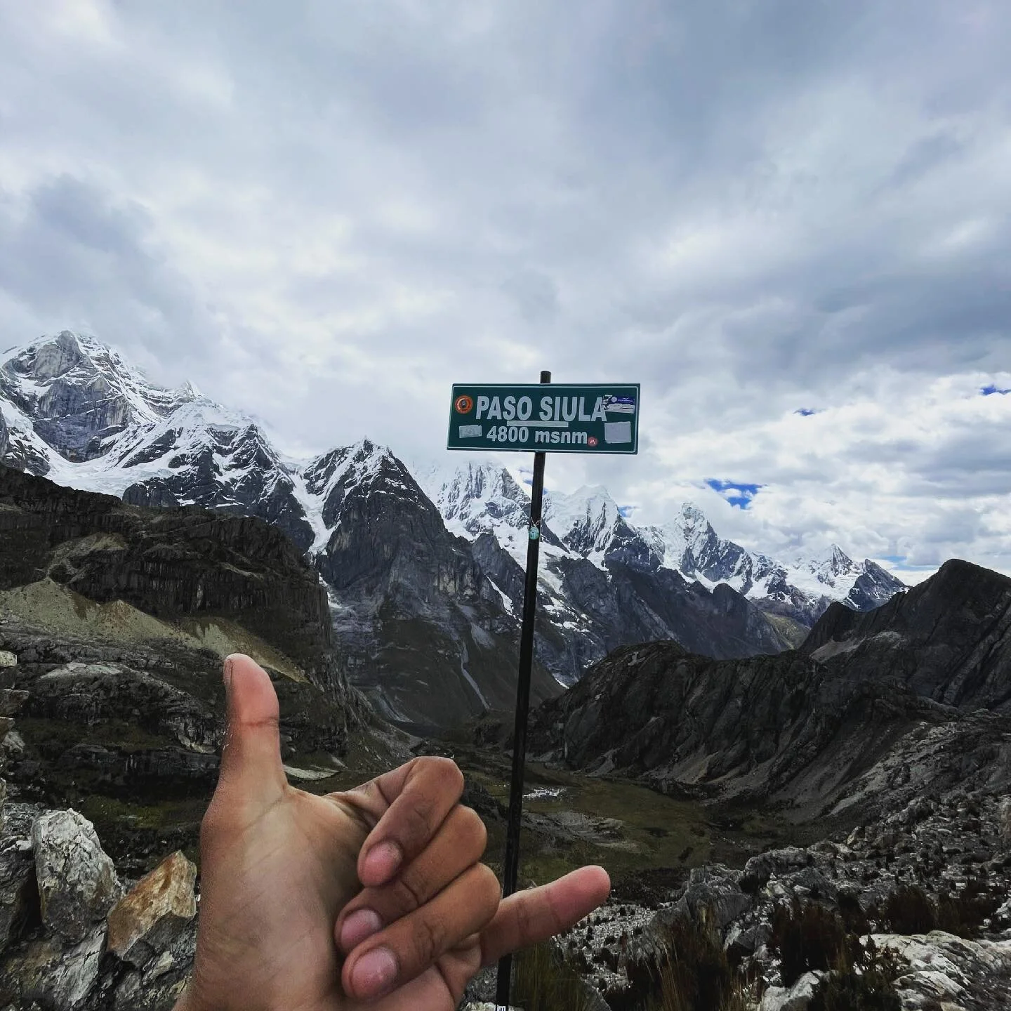 Dream view