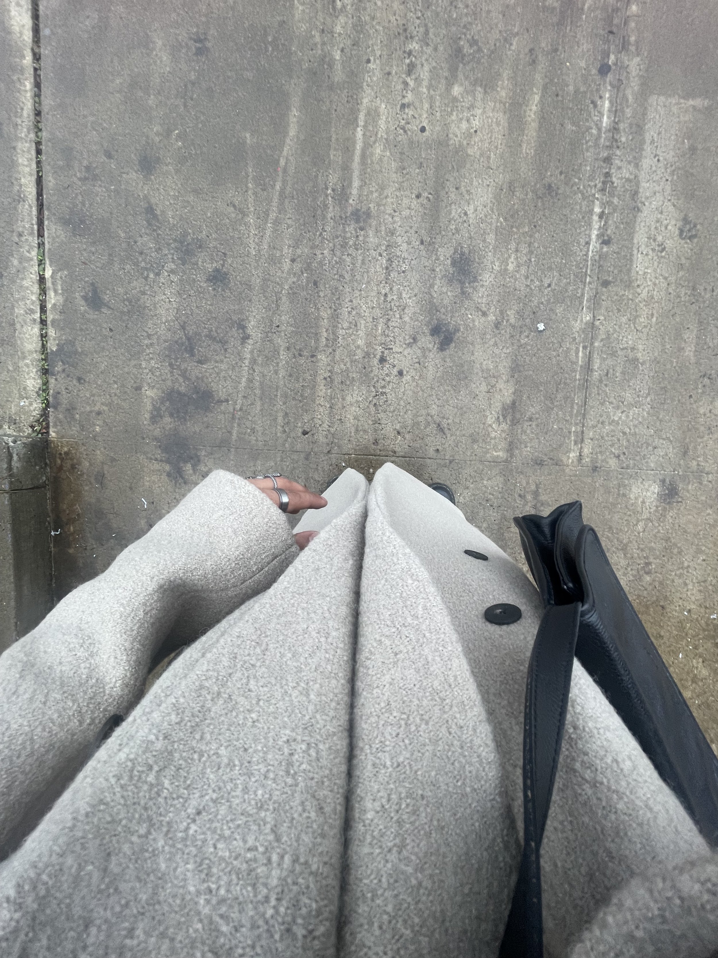 IMG_2100.jpeg