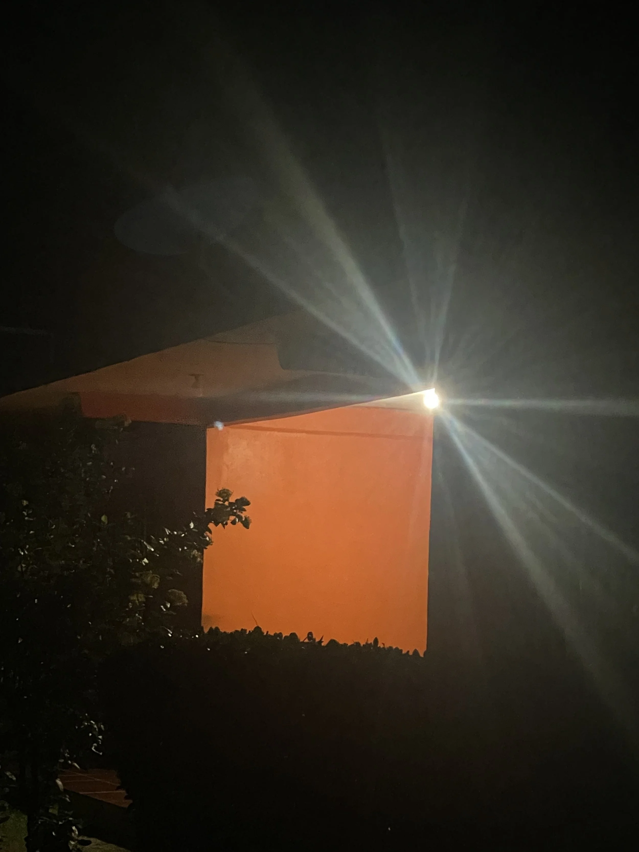 A1743C97-3C14-47B8-A28D-5666B611E579.jpeg